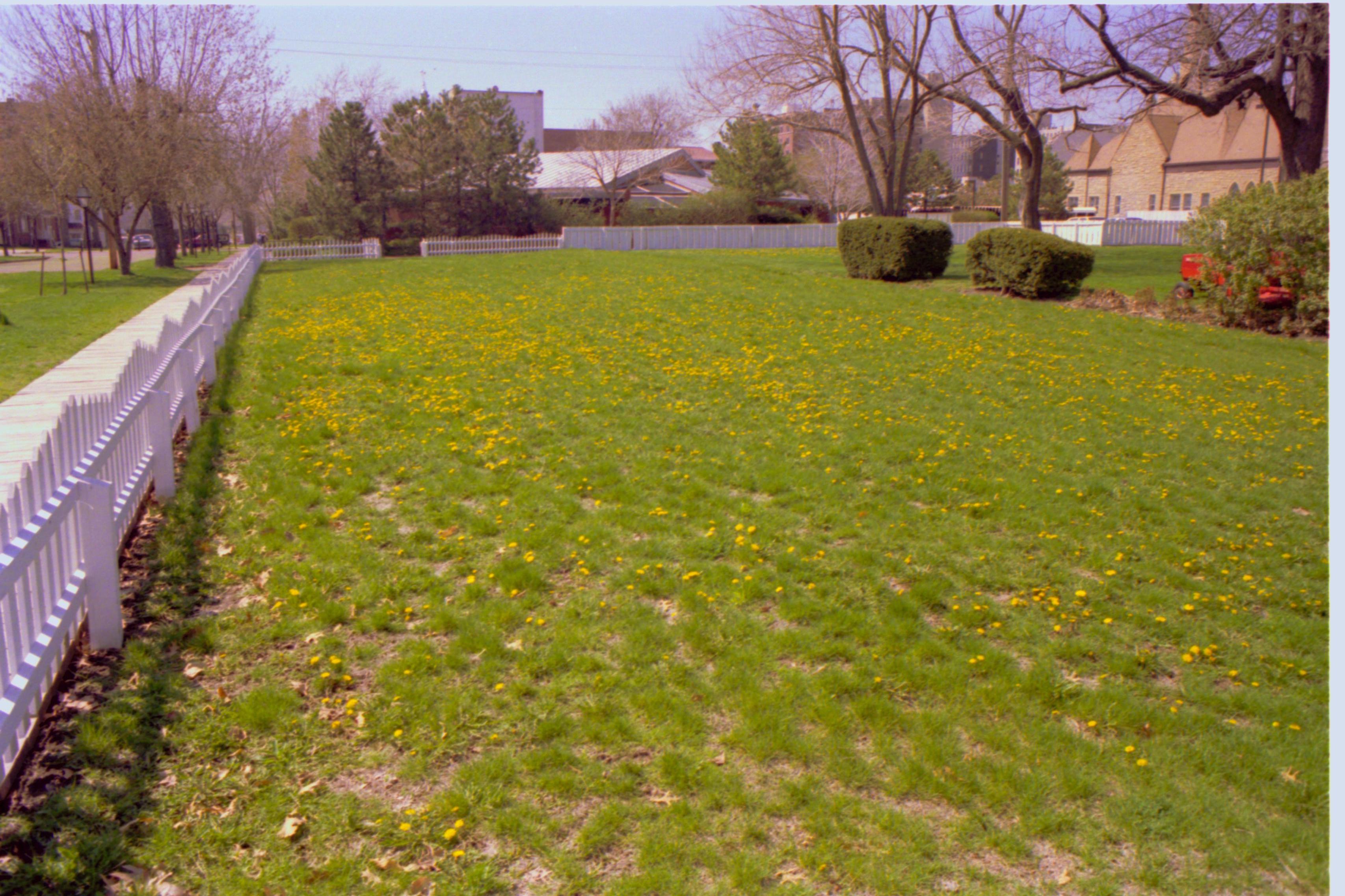 NA 6; 19A; Lawns and trees around park, late 1980s Interpritation, Trees