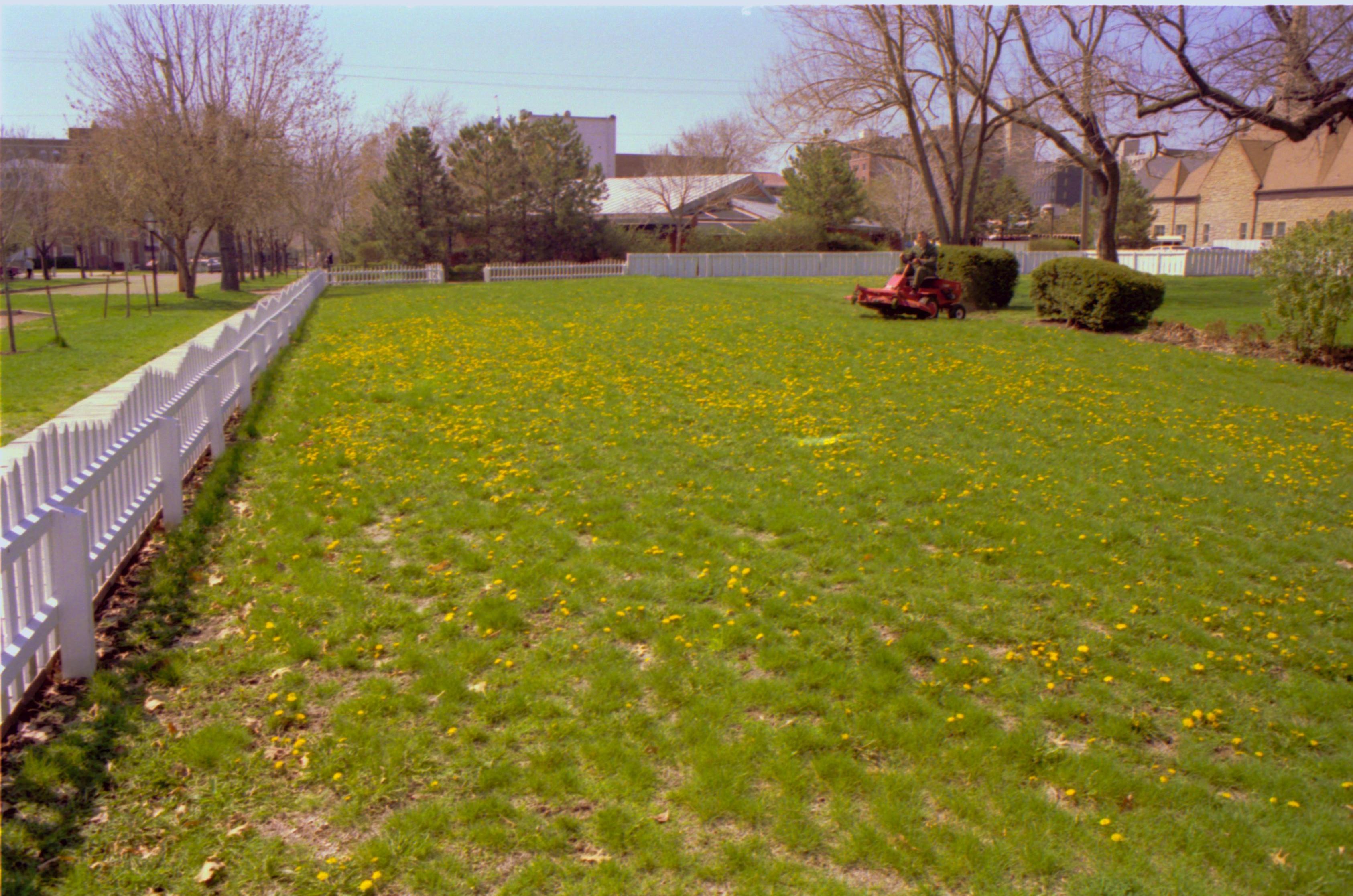 NA 6; 19A; Lawns and trees around park, late 1980s Interpritation, Trees