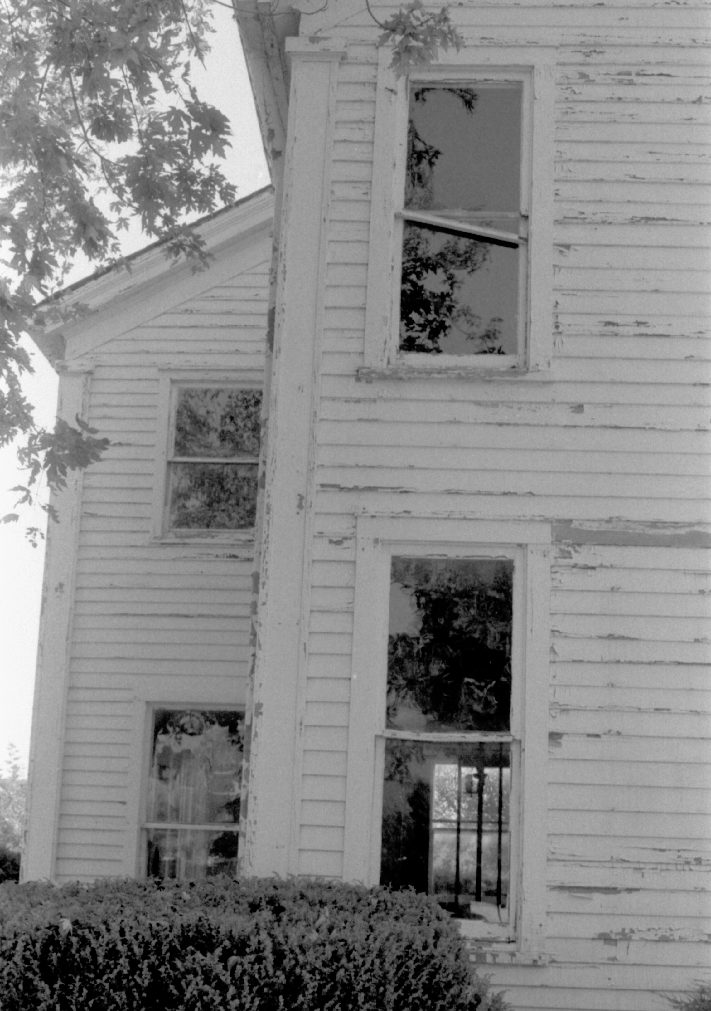 NA Lincoln Home NHS- Sprigg House Restoration 1984 Sprigg House, windows