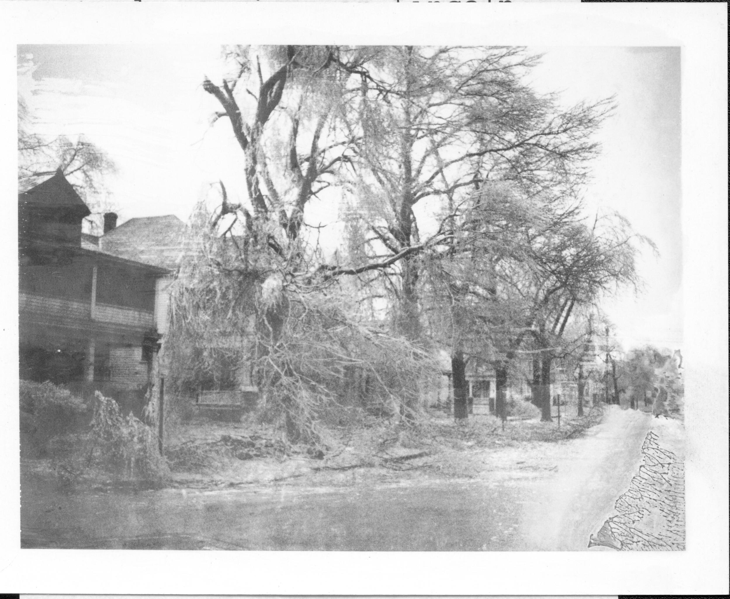 Ice Storm - Street scene in Lincoln Home National Historic Site Looking south along 8th between Jackson & Edwards? 8th, Ice Storm