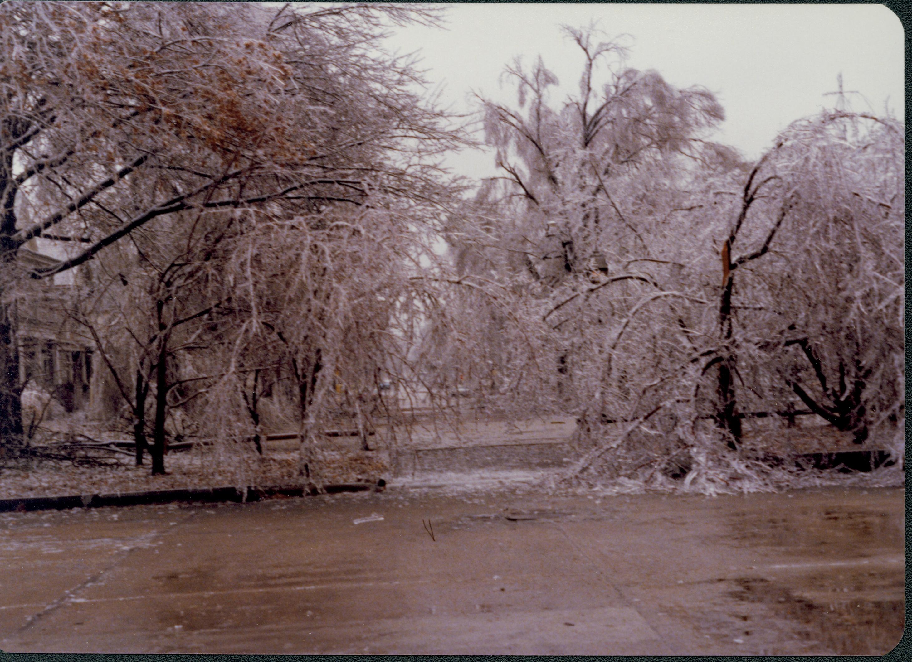 Ice Storm - 8th and Jackson Looking South? 8th, Jackson, Ice Storm