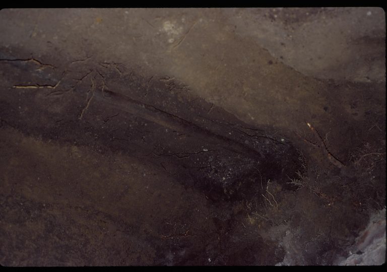 Pipe, Pit #1 LIHO NHS- Arnold House, HS-20 Roll #9 exp 3 Arnold House, restoration