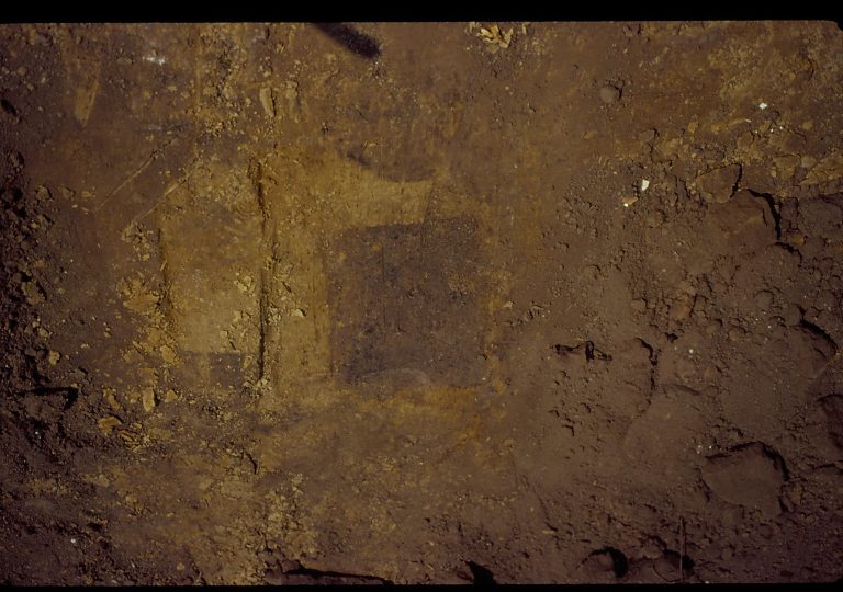 discolored dirt LIHO NHS- Arnold House, HS-20 Roll #9 exp 27 Arnold House, restoration
