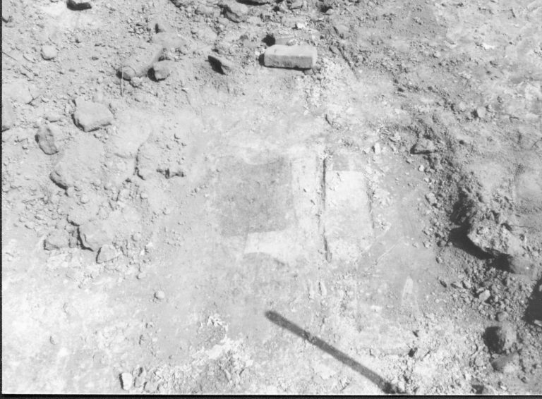 discolored dirt LIHO NHS- Arnold House, HS-20 Roll #8 exp 11 Arnold House, restoration