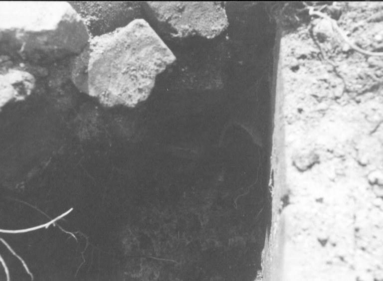 Gravity Furnace LIHO NHS- Arnold House, HS-20 Roll #10 exp 0 Arnold House, restoration