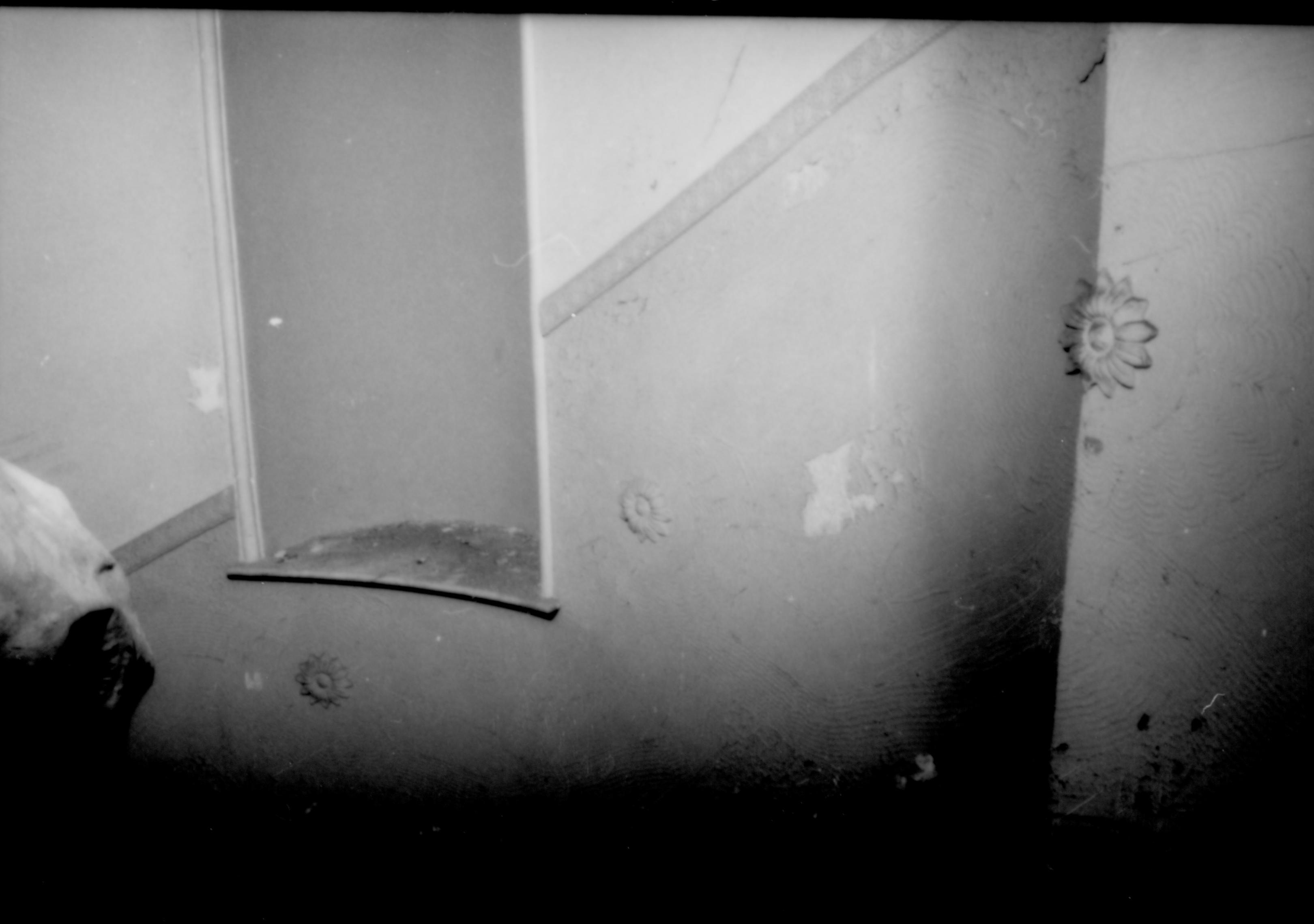 Purpose: Document existing conditions before major removals begin; Stuve House Lincoln Home NHS- Stuve House HS-05-017, exp 24 Stuve House, removals