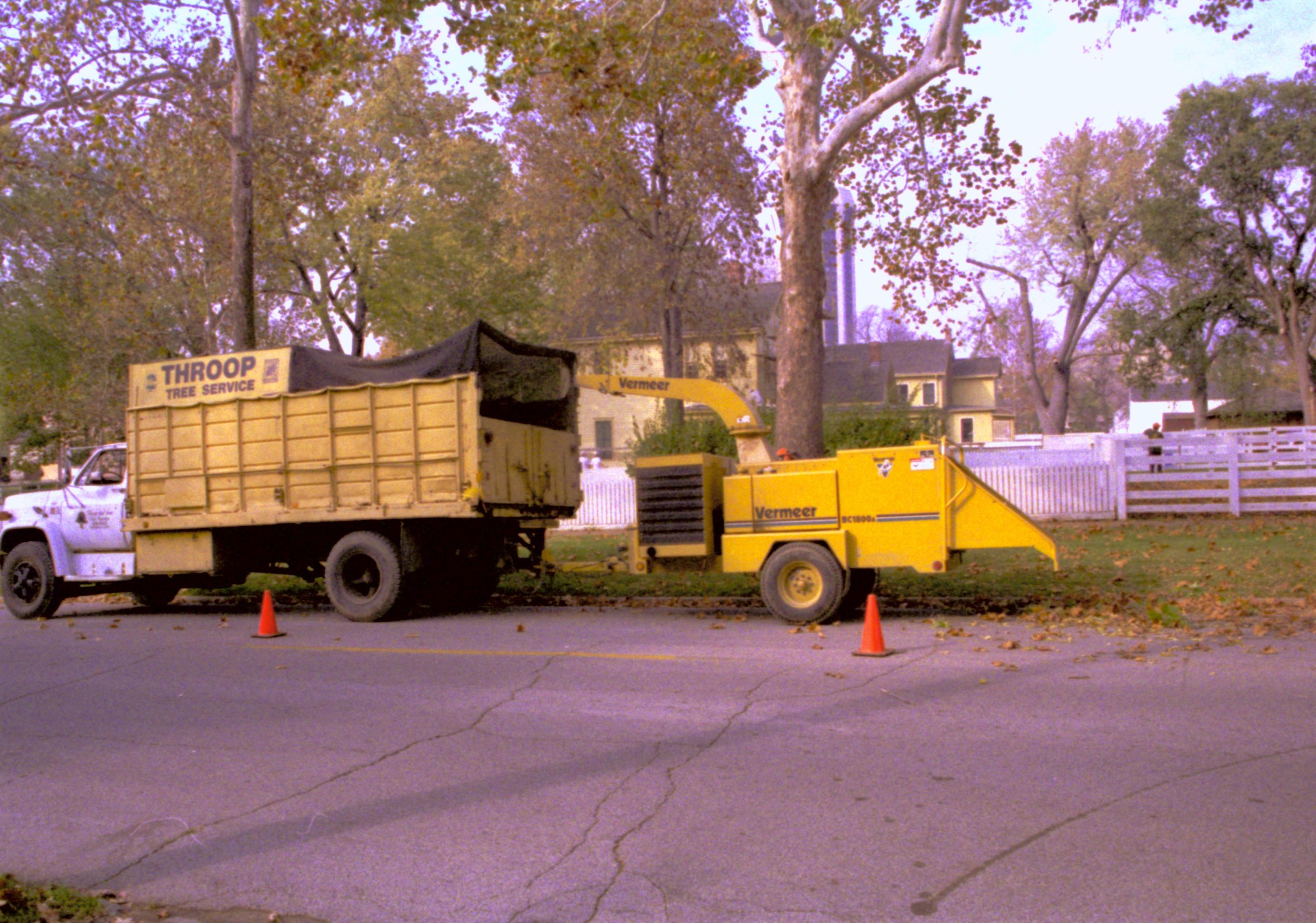 Tree trimming  Lincoln Home NHS- Visitor Center remodel,  Roll 2000-9, exp 15 street, trim, tree