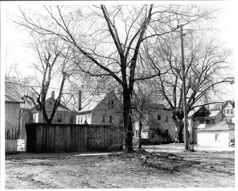 01-113 Alley, Edwards and Jackson, 8th and 9th Lincoln Home NHS- Various Neighborhood locations, Neg #2 Class 2000, class 3 pic 2 neighborhood, houses