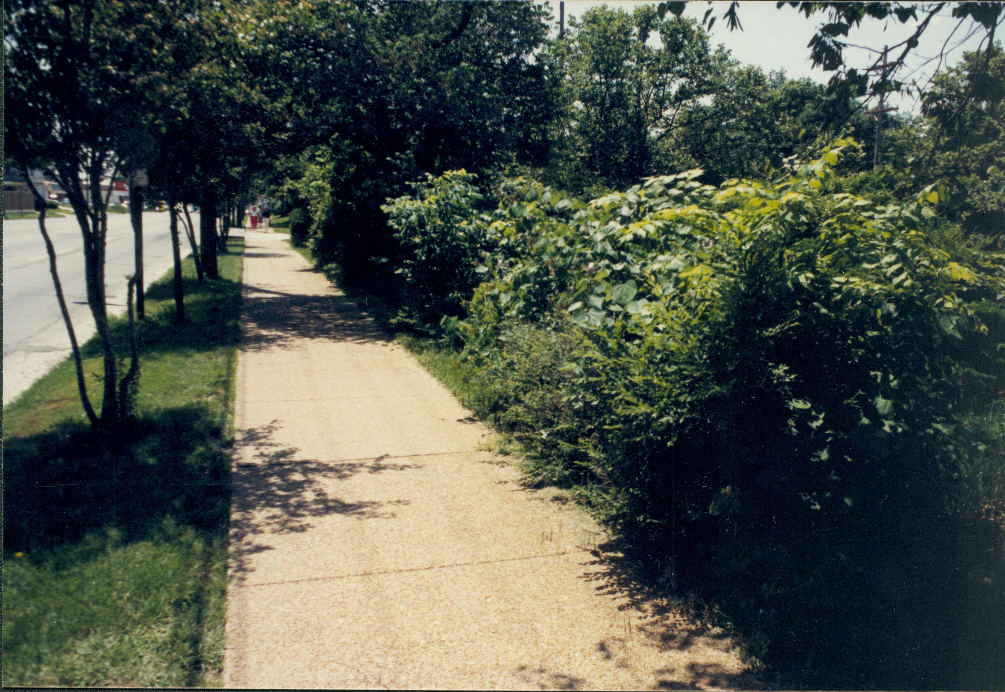 NA Lincoln Home NHS- Various locations neighborhood, sidewalk