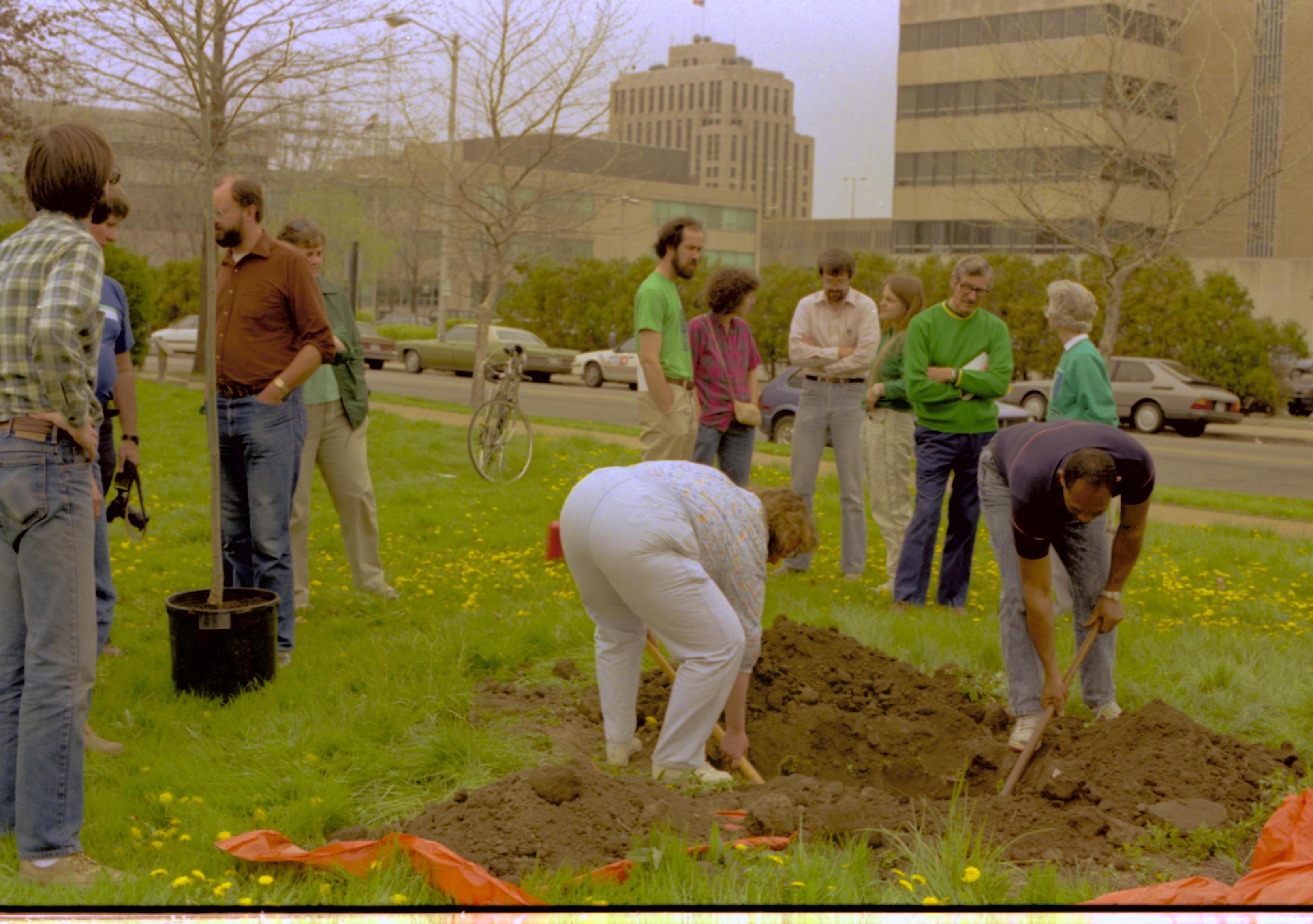 NA Lincoln Home NHS- Morse House Tree Planting, 64A Morse House, tree planting