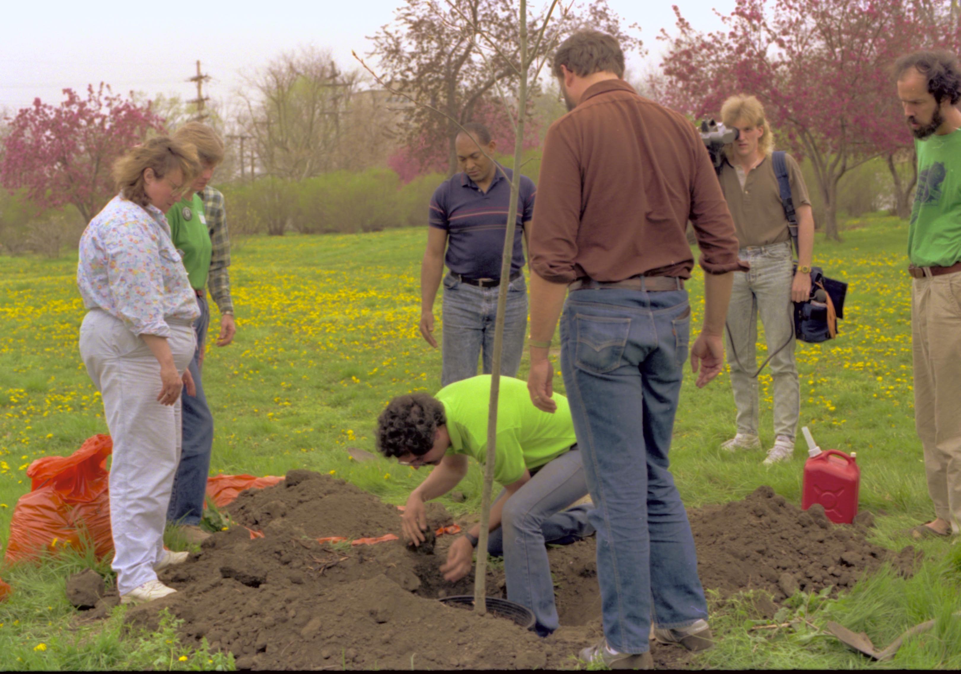 NA Lincoln Home NHS- Morse House Tree Planting, 64A Morse House, tree planting