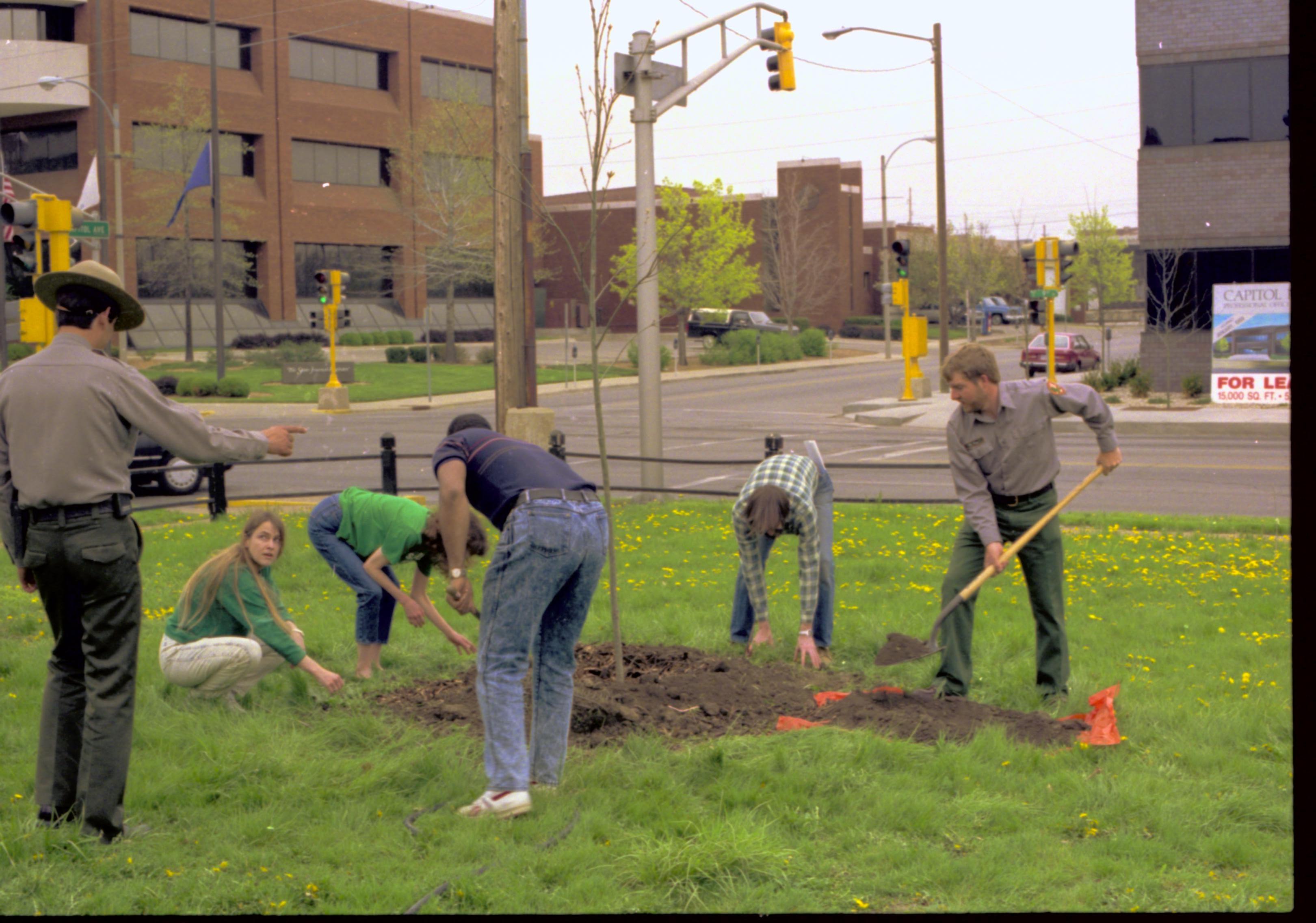 NA Lincoln Home NHS- Morse House Tree Planting, 64A Morse House, tree planting