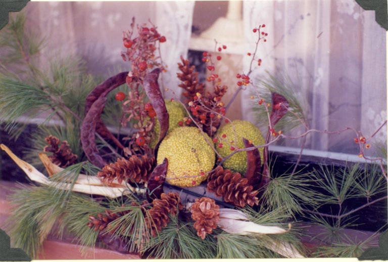 NA Lincoln Home NHS- Christmas in Licoln Neighborhood 1989 Christmas, neighborhood, decorations