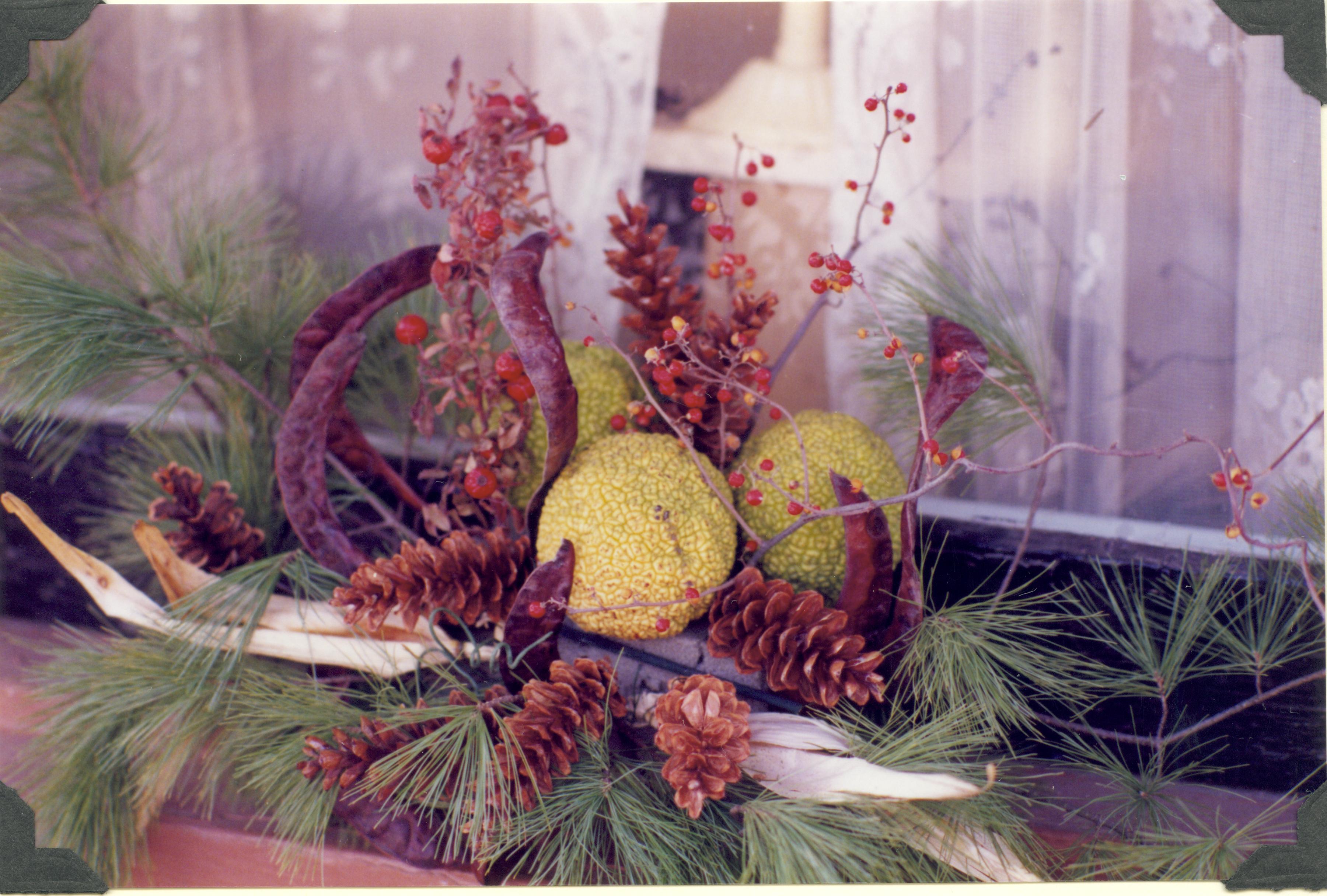 NA Lincoln Home NHS- Christmas in Licoln Neighborhood 1989 Christmas, neighborhood, decorations