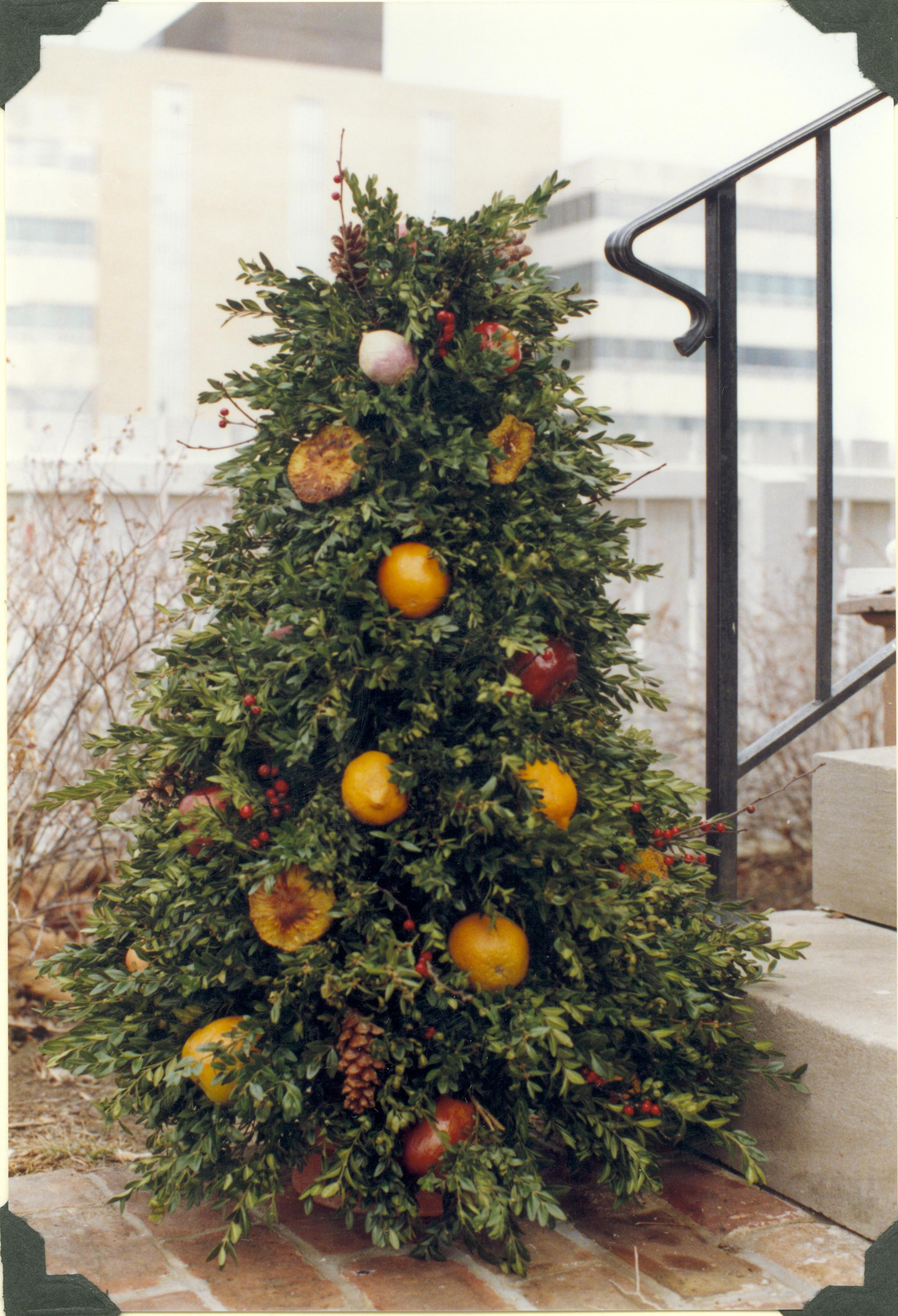NA Lincoln Home NHS- Christmas in Licoln Neighborhood 1989 Christmas, neighborhood, decorations