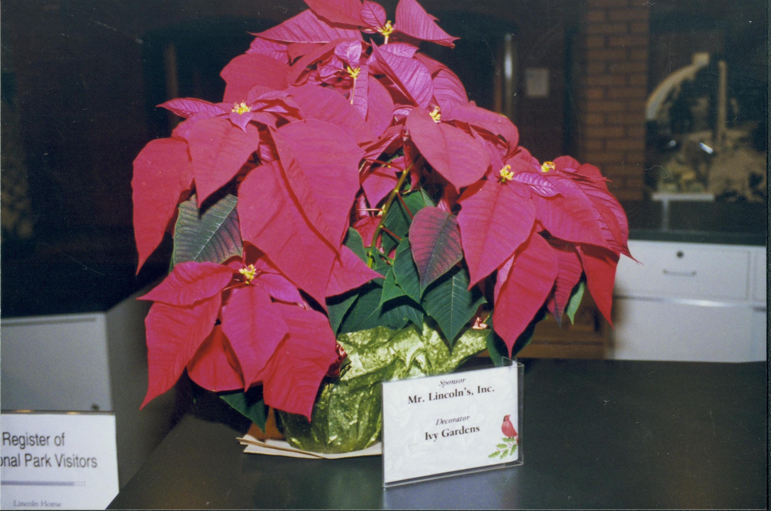 NA Lincoln Home NHS- Christmas in Licoln Neighborhood 1995, Christmas 1995 Christmas, decorations, neighborhood