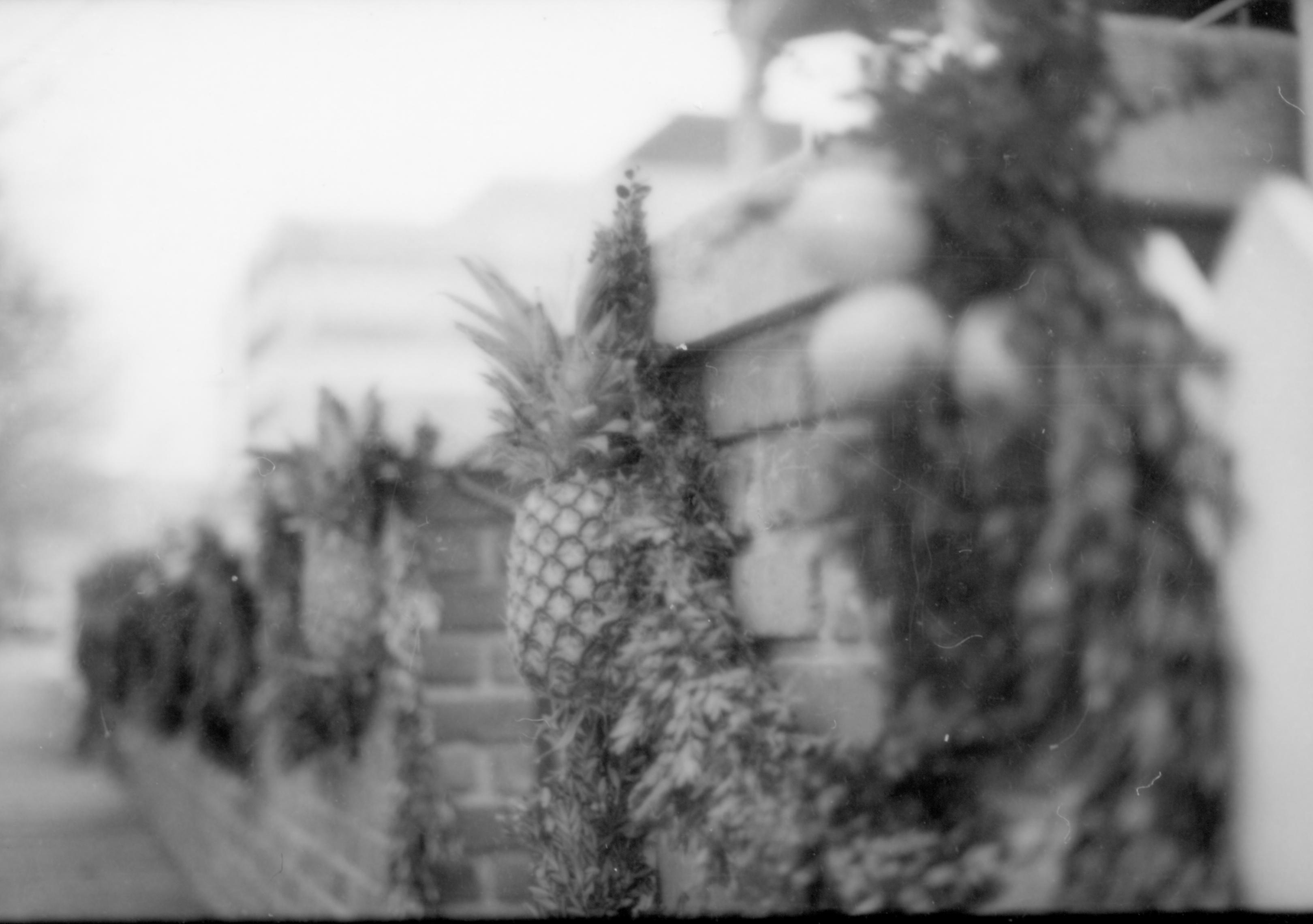 Lincoln Home NHS- Christmas in Lincoln Neighborhood Looking north east, Christmas decor on retaining wall of Conference Center. Detail. Christmas, decorations, neighborhood, decor, conference, garland, pineapple