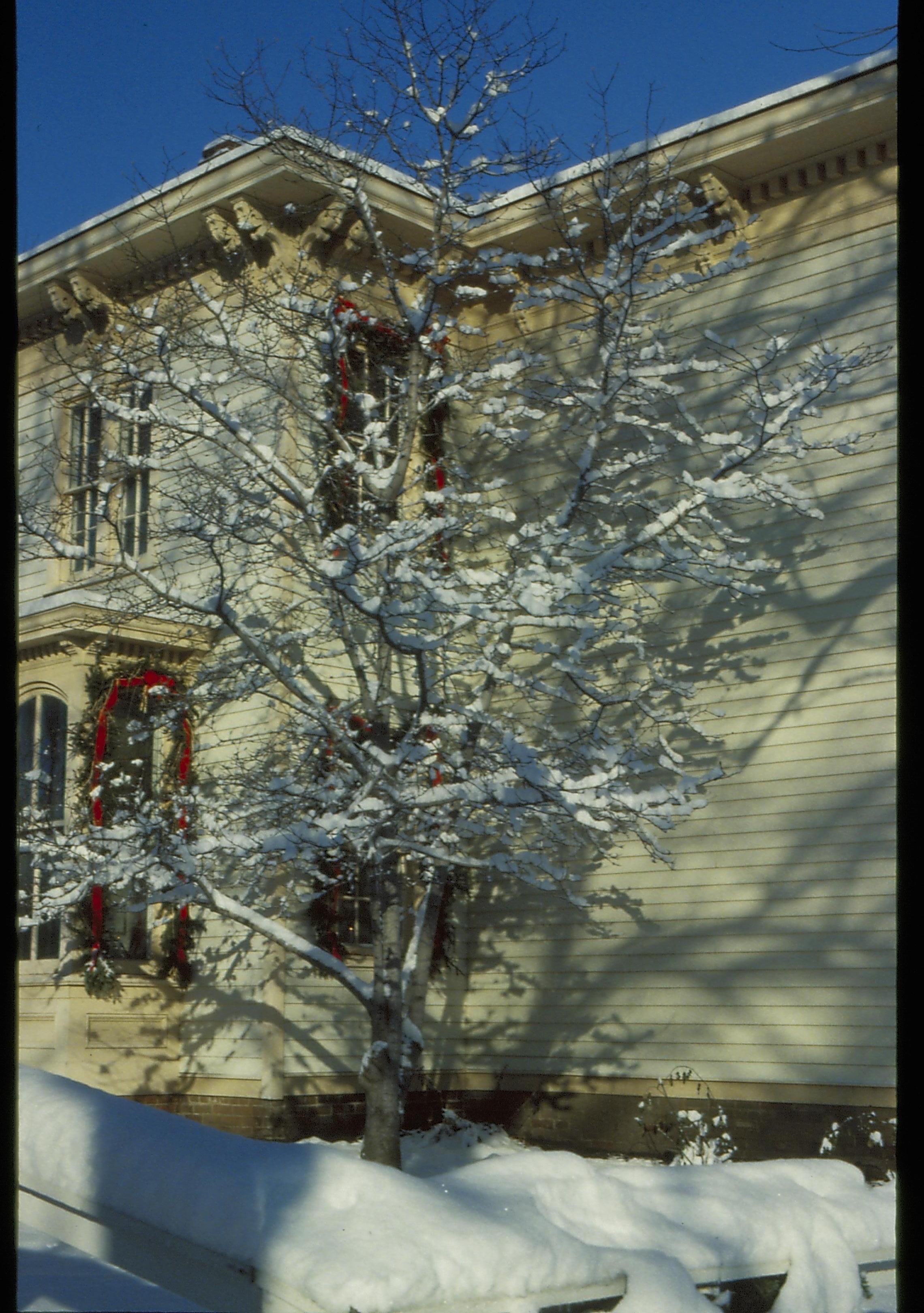 Lincoln Home NHS- Christmas in Lincoln Neighborhood Looking north west from boardwalk, Shutt house decorated for Christmas. Detail. Christmas, decorations, Shutt, decor, snow, tree, garland