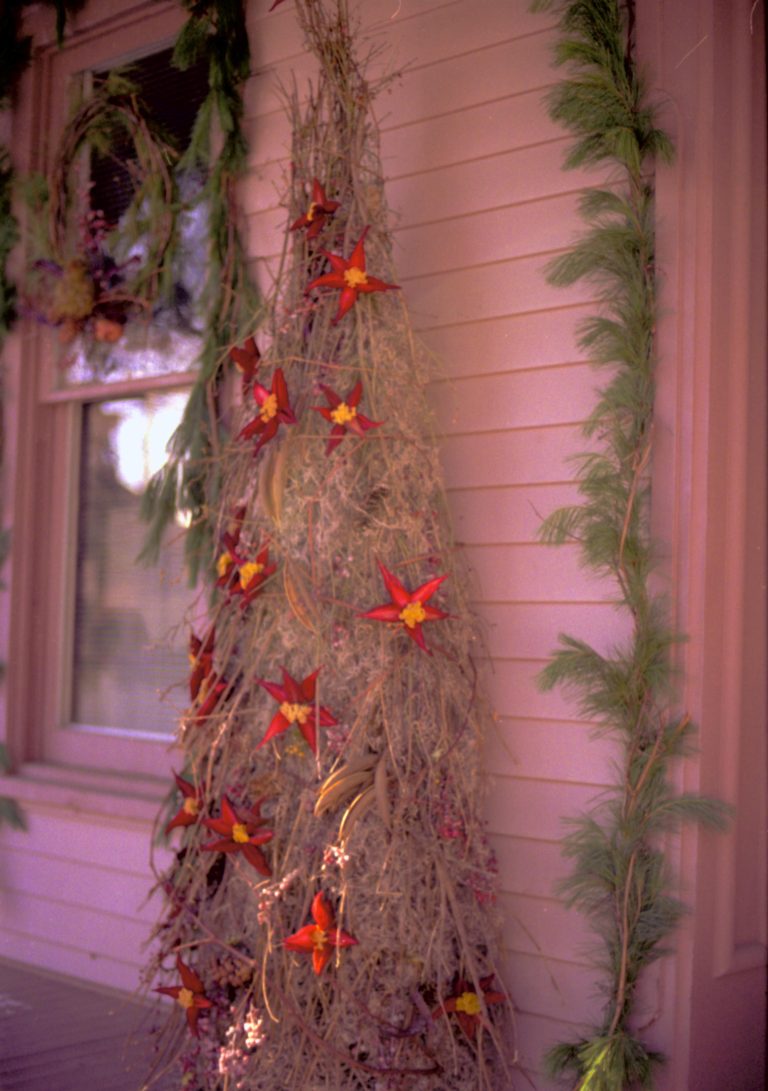 NA Lincoln Home NHS- Christmas in Lincoln Neighborhood, 8197, 137A, 19 Christmas, decorations