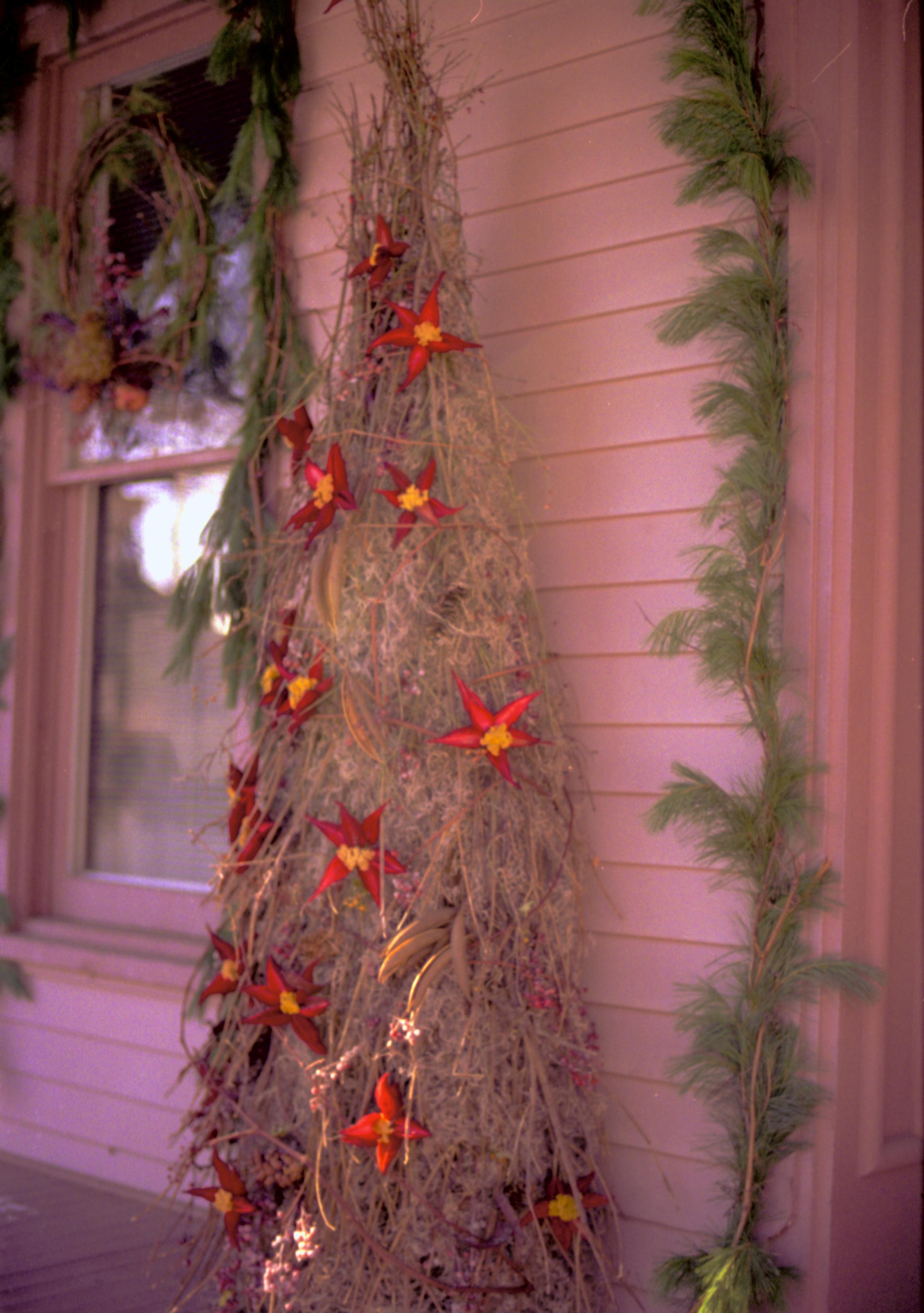 NA Lincoln Home NHS- Christmas in Lincoln Neighborhood, 8197, 137A, 19 Christmas, decorations