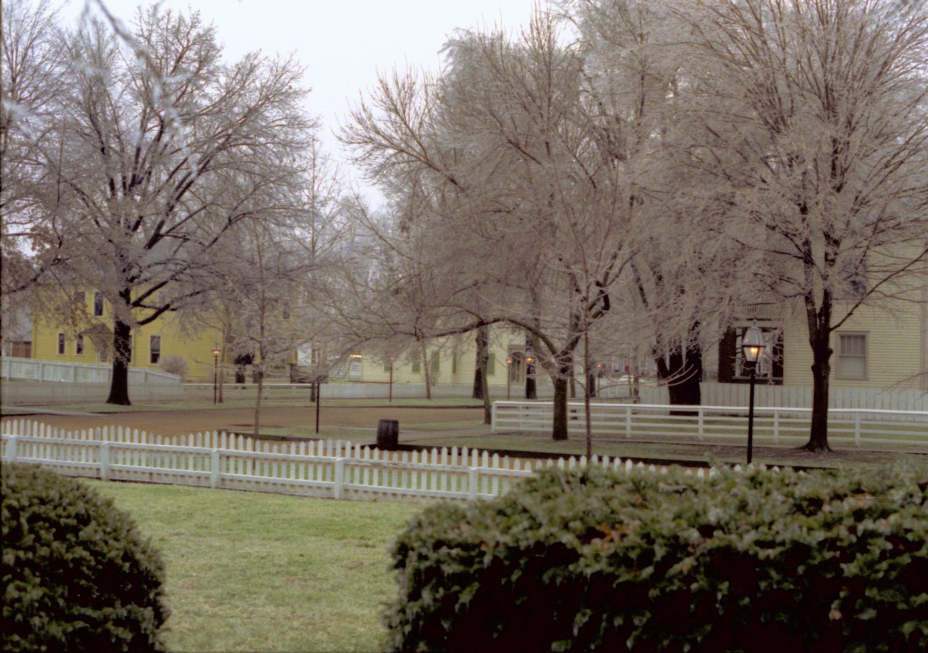 NA Lincoln Home NHS- Christmas in Lincoln Neighborhood, 139A, 416761 squirrel, neighborhood