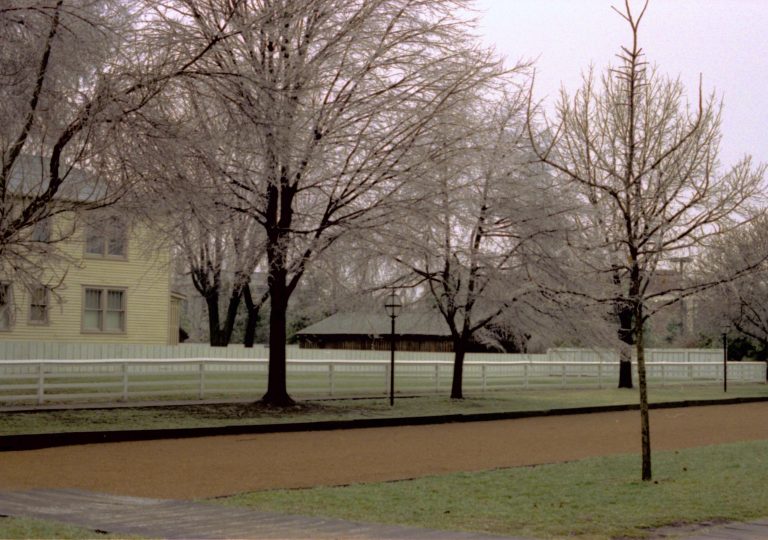 NA Lincoln Home NHS- Christmas in Lincoln Neighborhood, 138A, 416761 Christmas, neighborhood