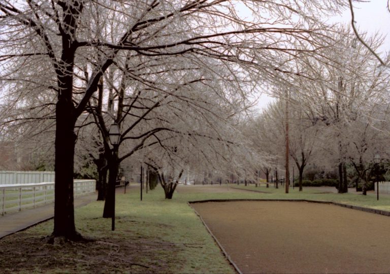 NA Lincoln Home NHS- Christmas in Lincoln Neighborhood, 138A, 416761 Christmas, neighborhood