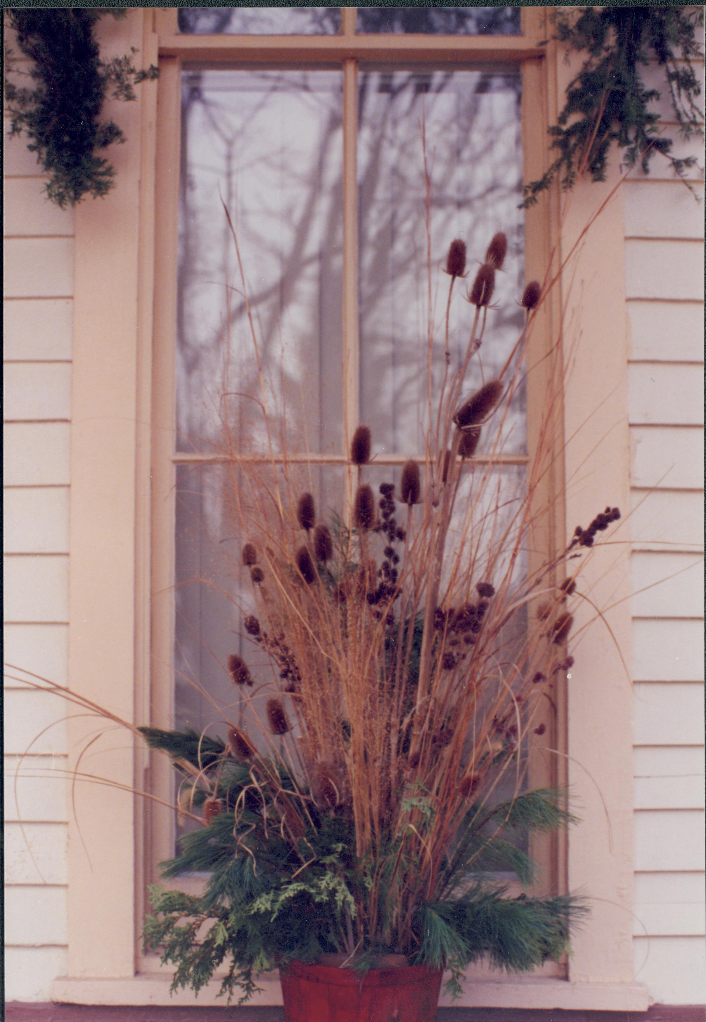 Lincoln Home NHS- Christmas in Lincoln Neighborhood Christmas decor of planter in front of window. Detail. Christmas, neighborhood, decor, window. planter, detail