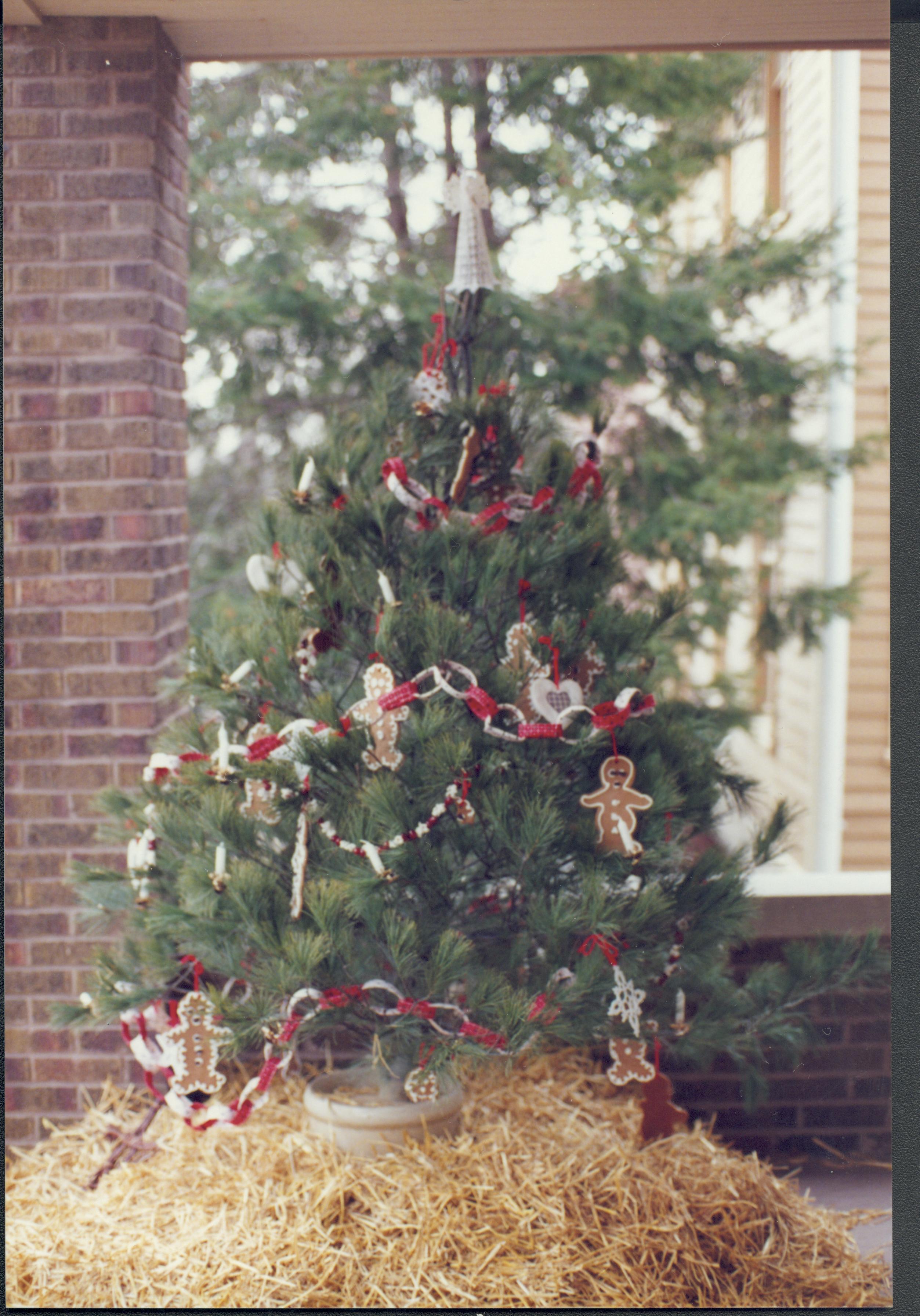 Lincoln Home NHS- Christmas in Lincoln Neighborhood Christmas tree and decorations on porch of home. Detail Christmas, neighborhood, tree, decor, porch