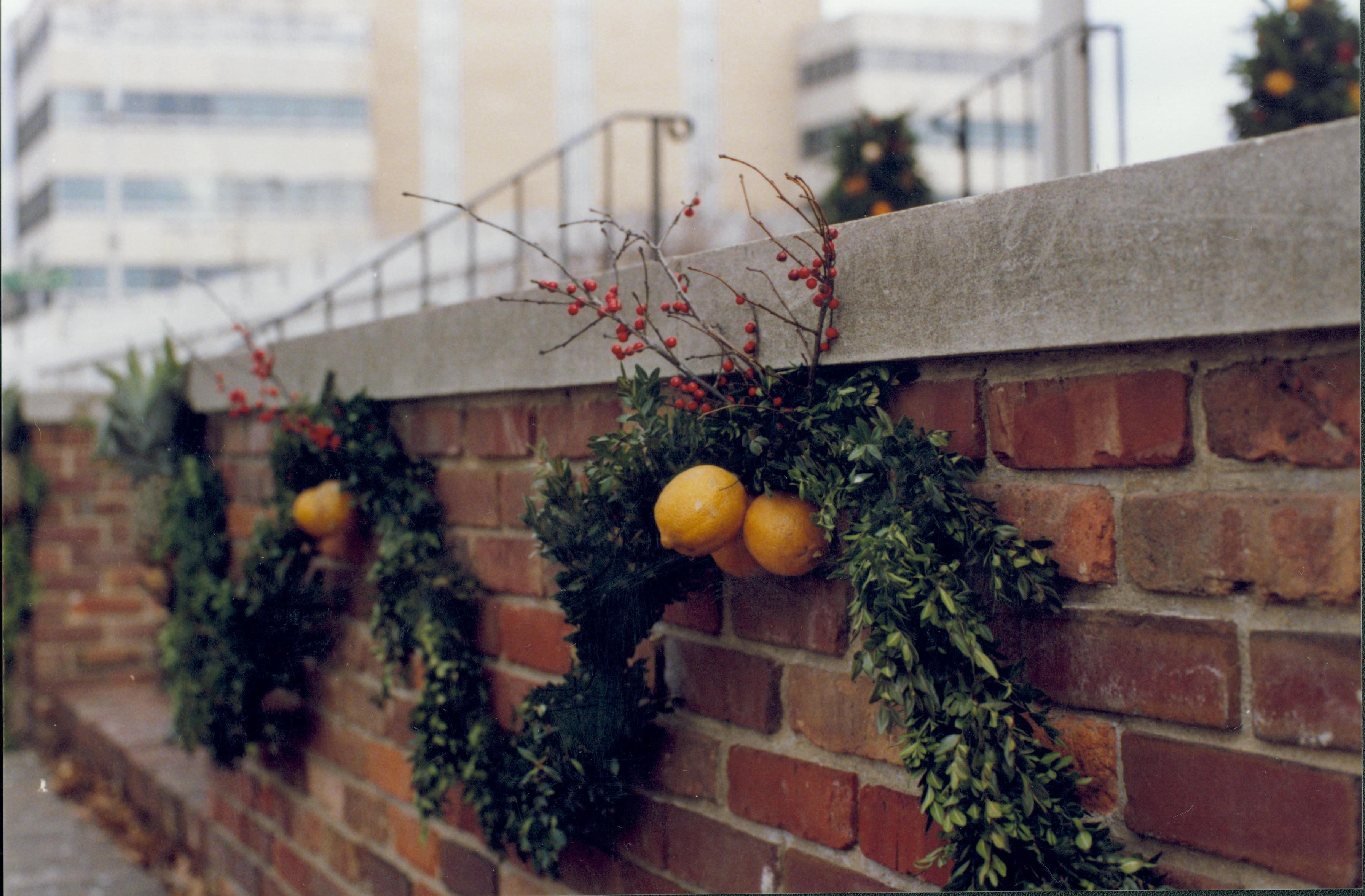 NA Lincoln Home NHS- Christmas in Lincoln Neighborhood Christmas, decorations, neighborhood