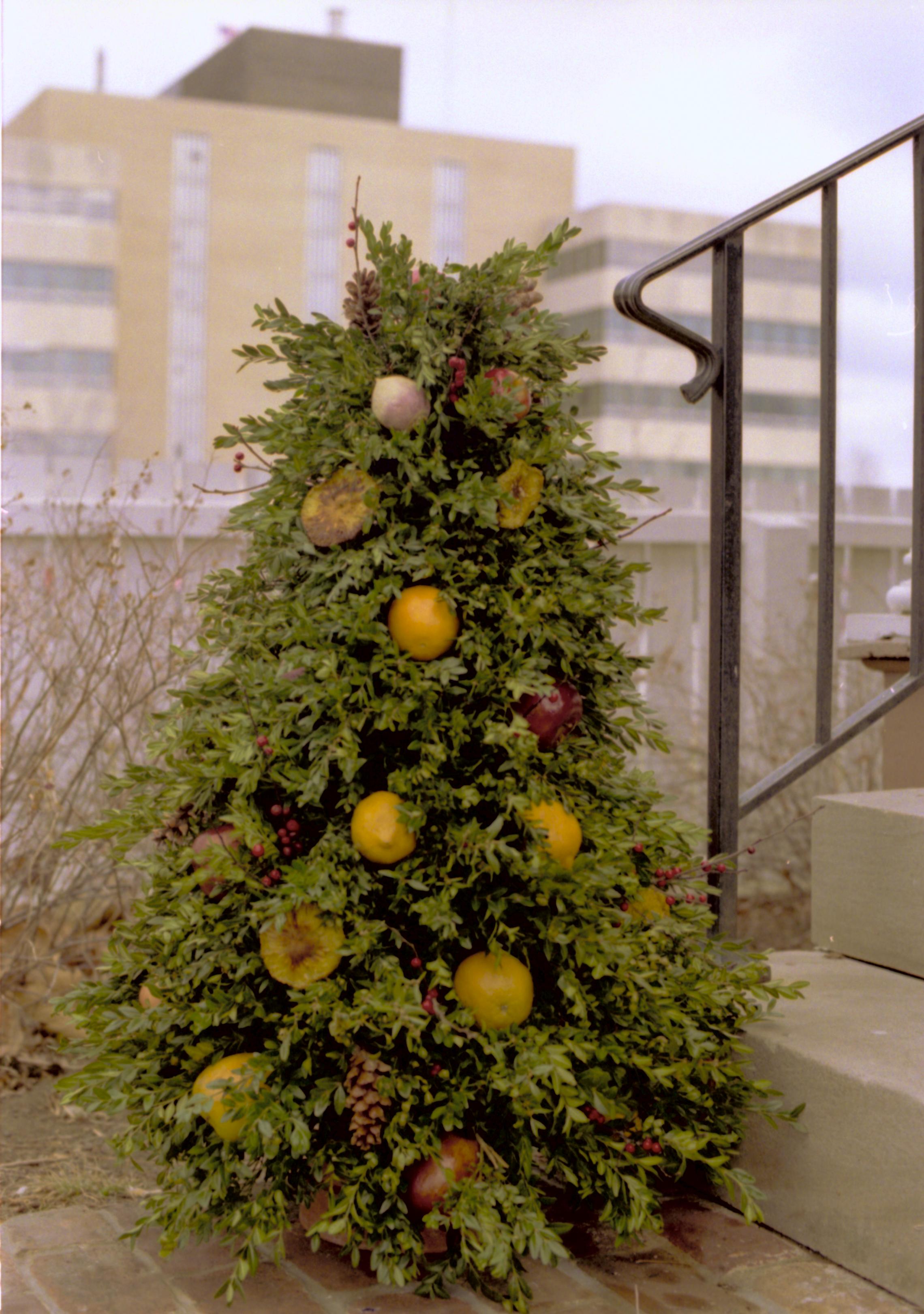 NA Lincoln Home NHS- Christmas in Lincoln Neighborhood, 77A, 13, B Christmas, decorations, neighborhood