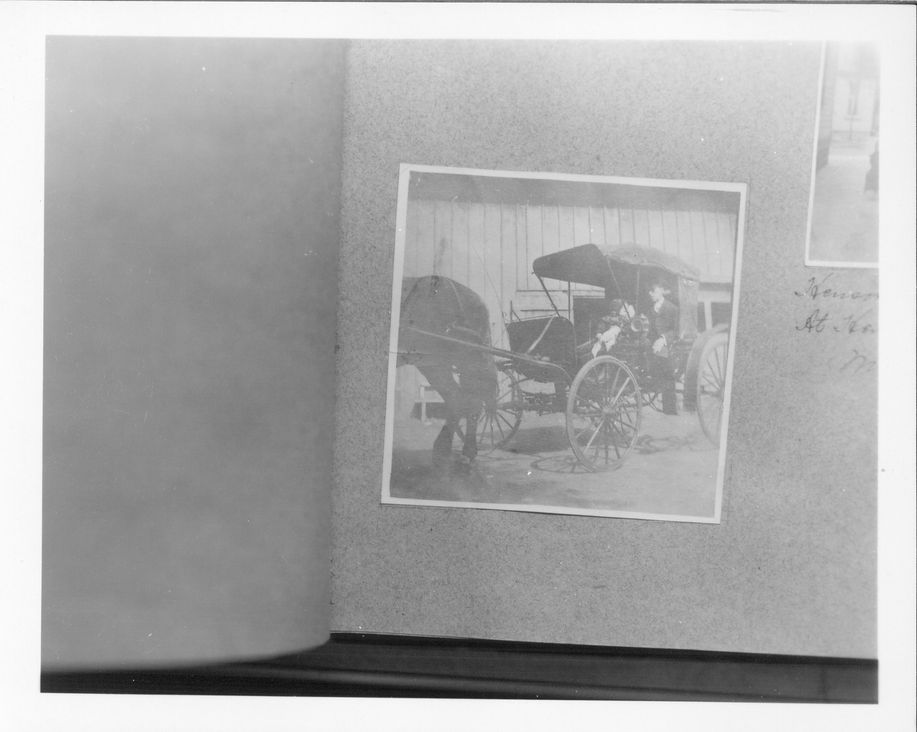 Horse and Buggy Class 1, Pic 28 Portraits, Robinson