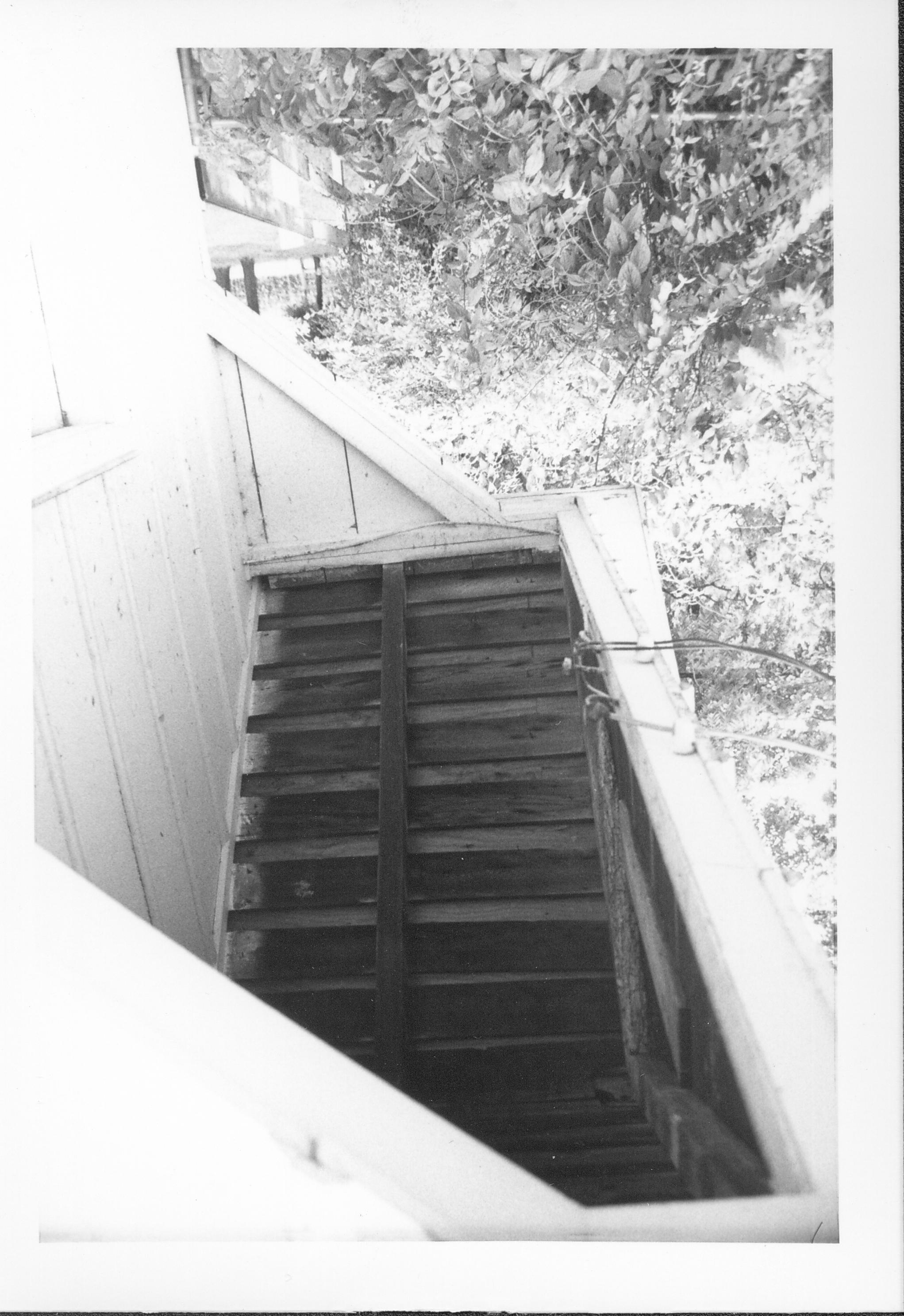 Looking up at inside of roof on little shed, ( P3) Gardner-McMillan