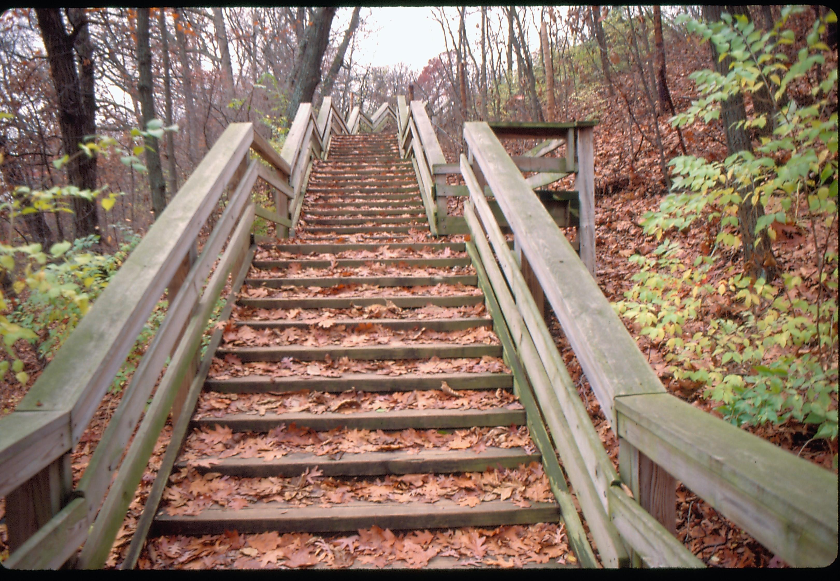 New Salem-looking up steps New Salem