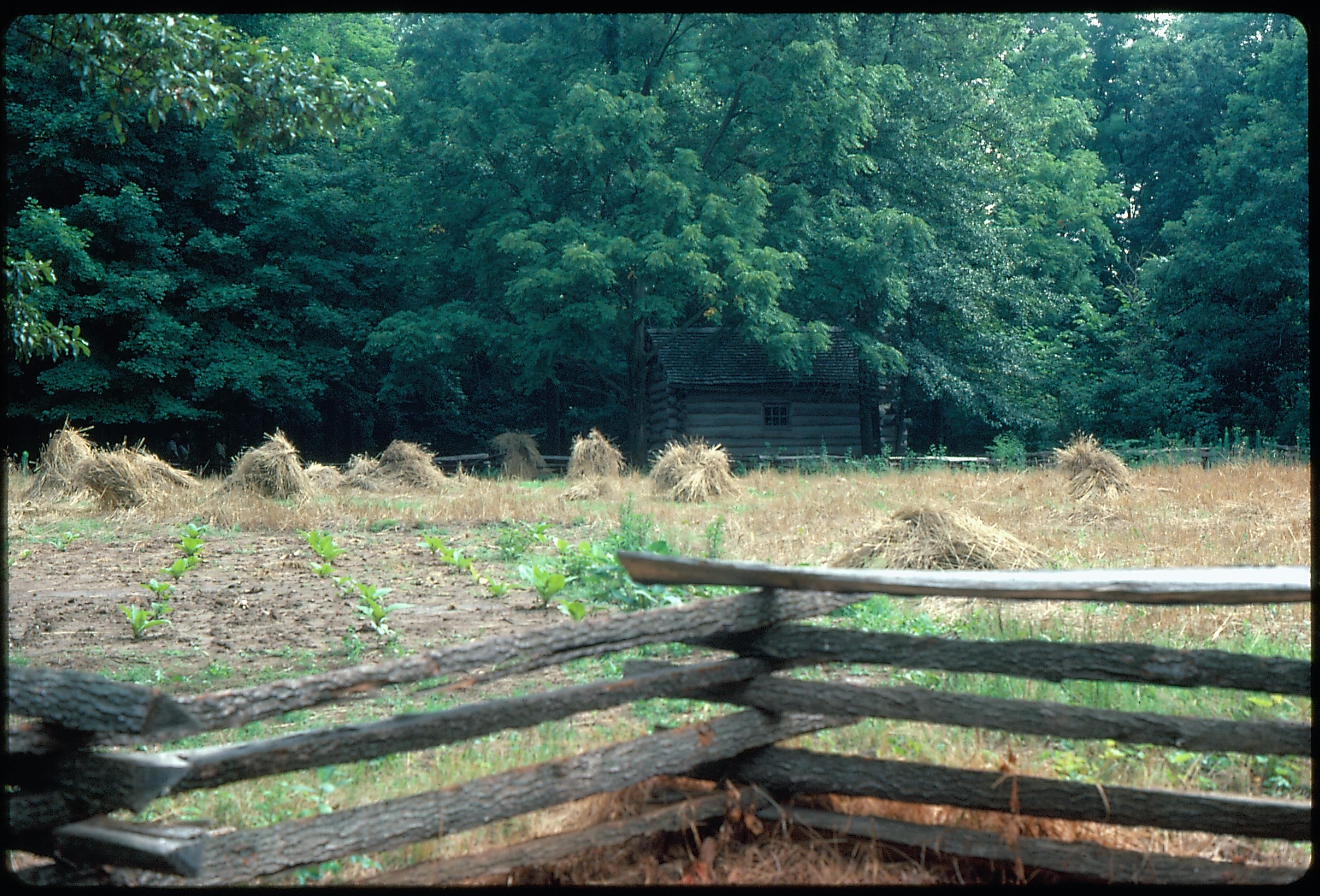 Wheat Field - New Salem - July 1976 New Salem