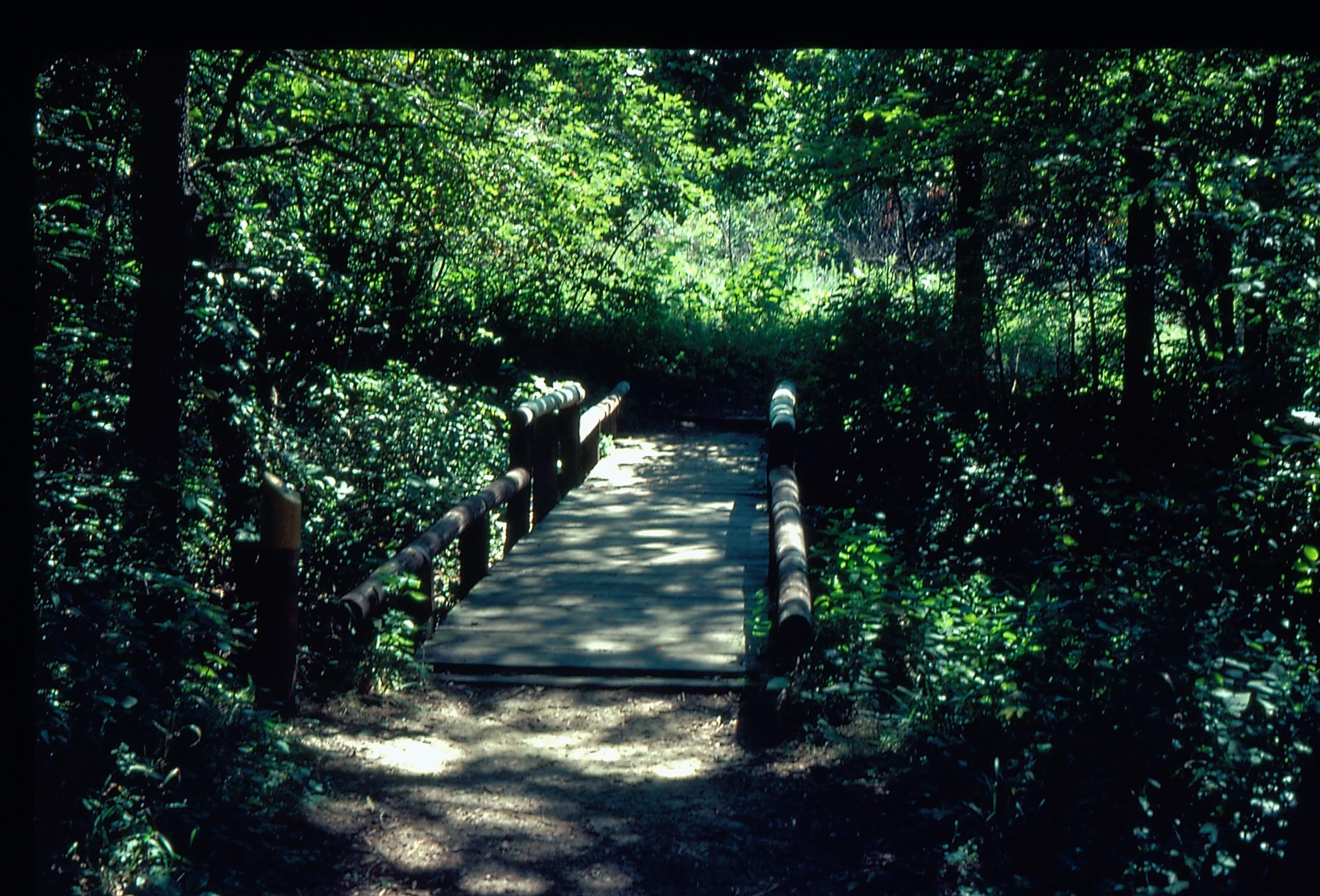 Summer bridge on Buckeye Trail - Lincoln Memorial Garden Lincoln Mem. Gardens, Lake Springfield. Lincoln, Memorial, Garden