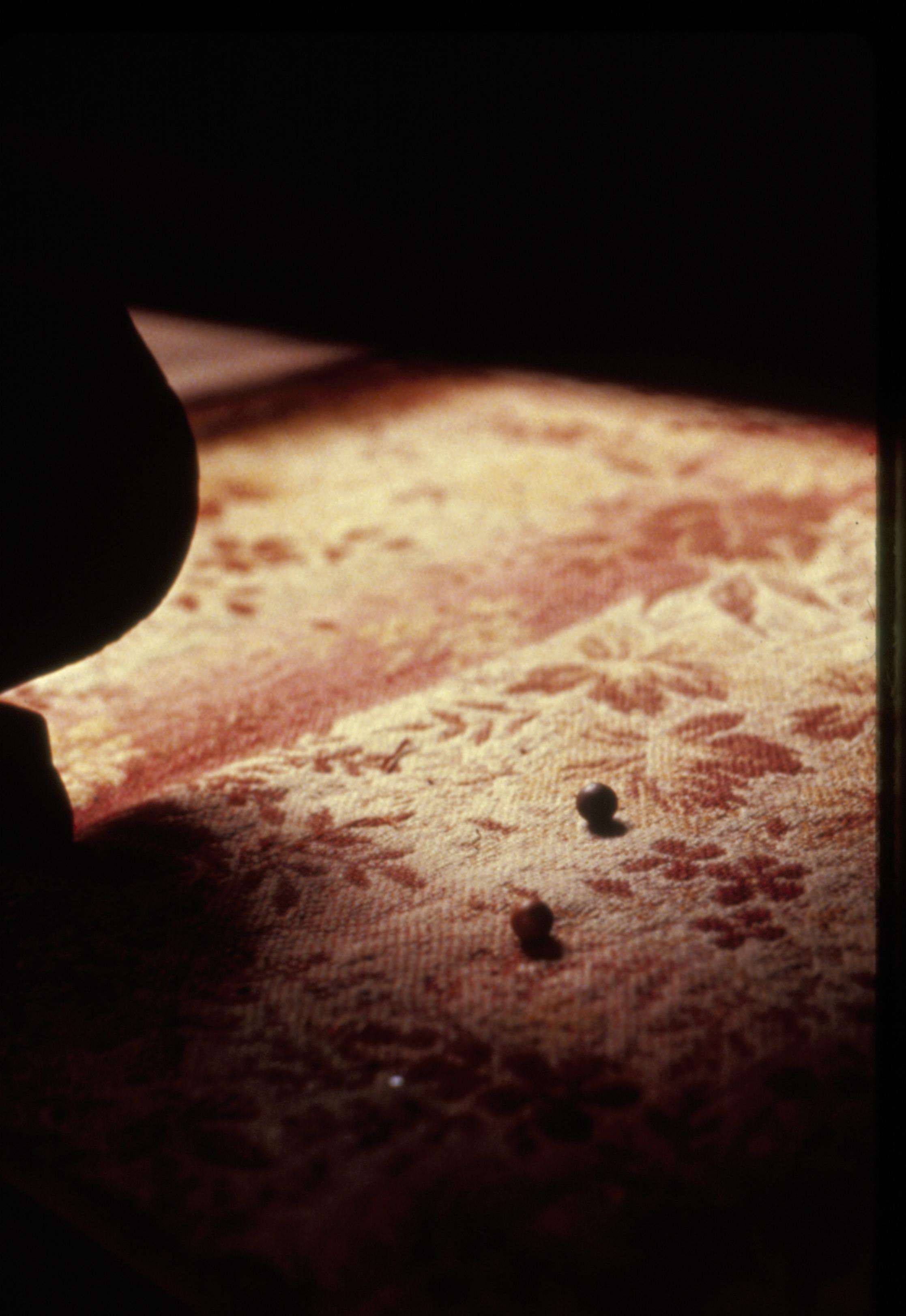 Sitting Room 2G.3, 207 Lincoln, Home, Boy's, Guest, Room, marbles, rug