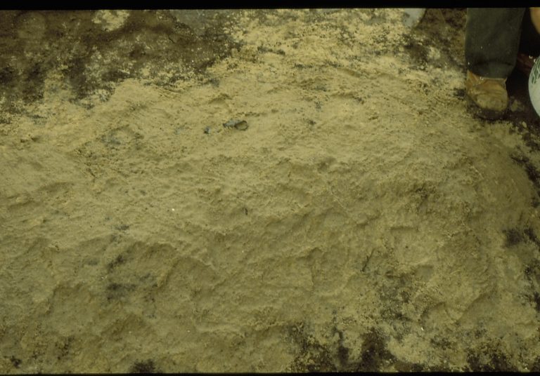 LIHO Hist. Drain - 1987 LIHO Restoration, Tray#1 Lincoln, Home, Restoration