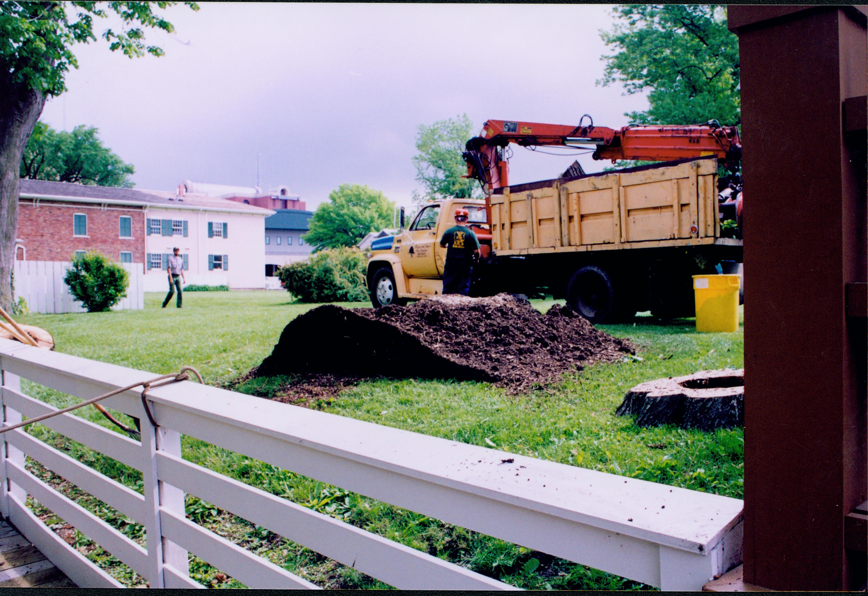 NA Maintenance, Tree Removal