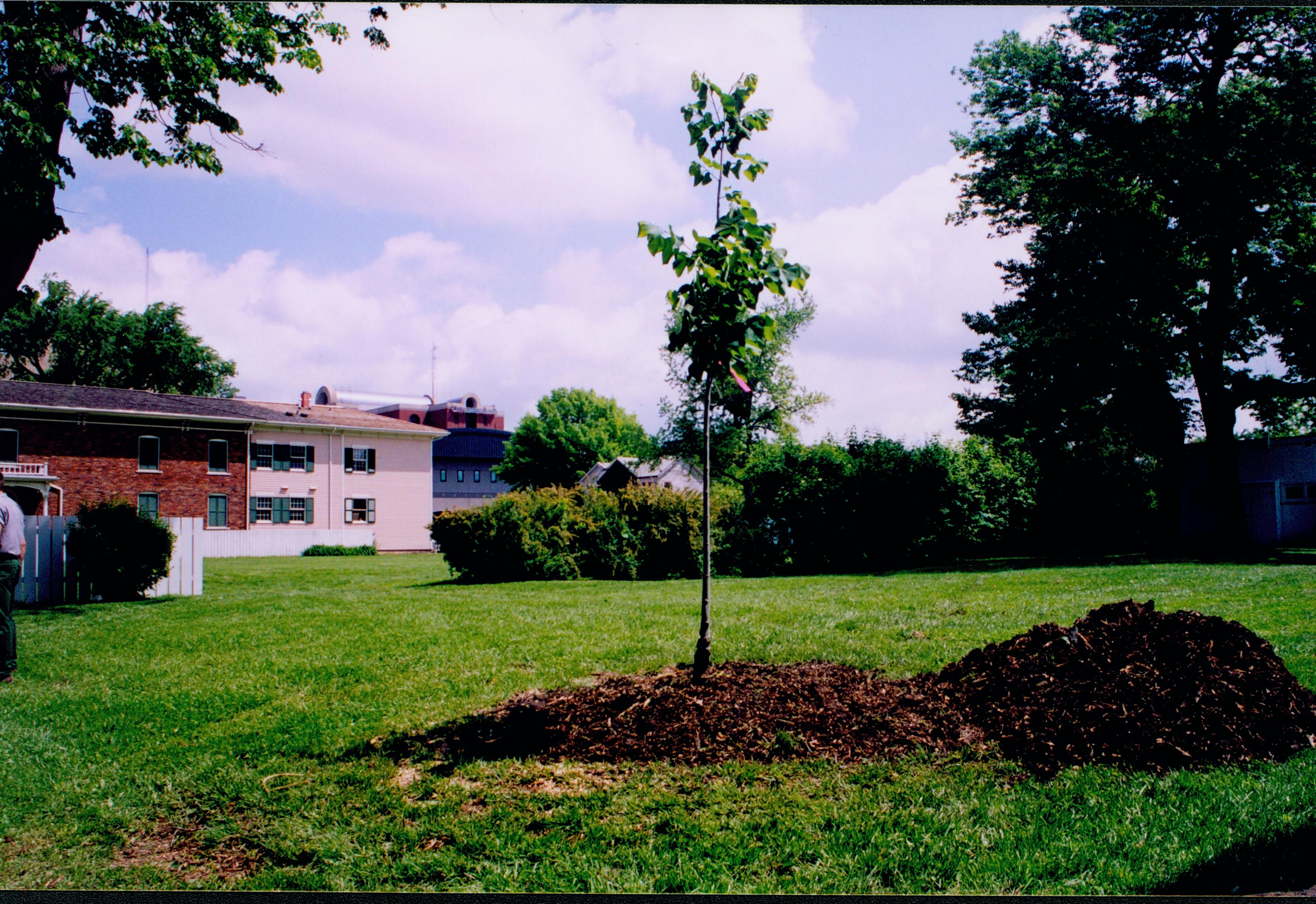 NA Maintenance, Tree Removal