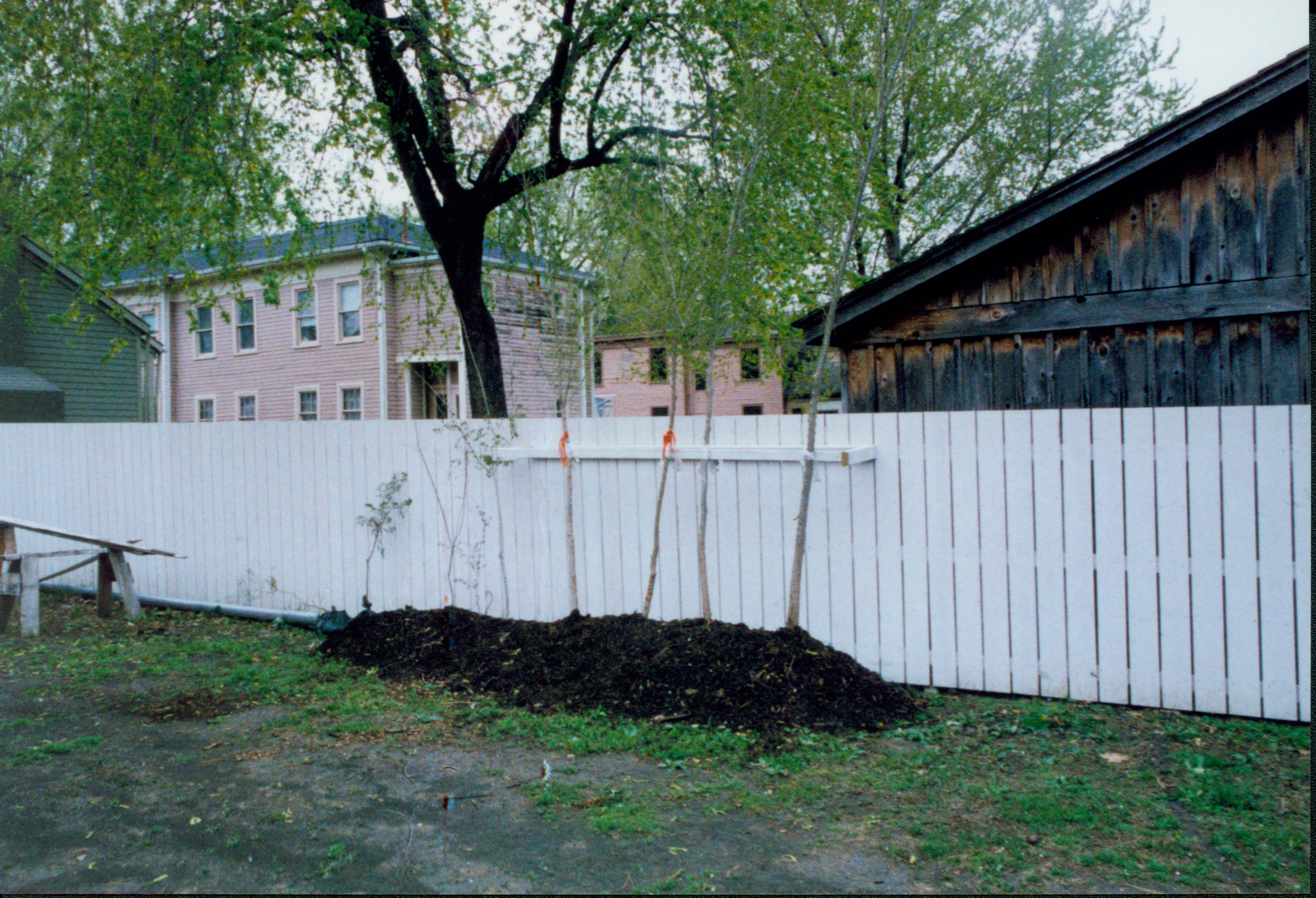 Elm tree replacement - replacement trees from Morton Arboretum for locations around park, temporary planted in Corneau backyard (Block 6, Lot 16). Sprigg House in background left, Miller and Dubois Houses in background center. Maintenance shed behind fence on right. Looking Southeast from near alley Elm tree, Corneau, Sprigg, Miller, Dubois, Maintenance Shed, Morton Arboretum