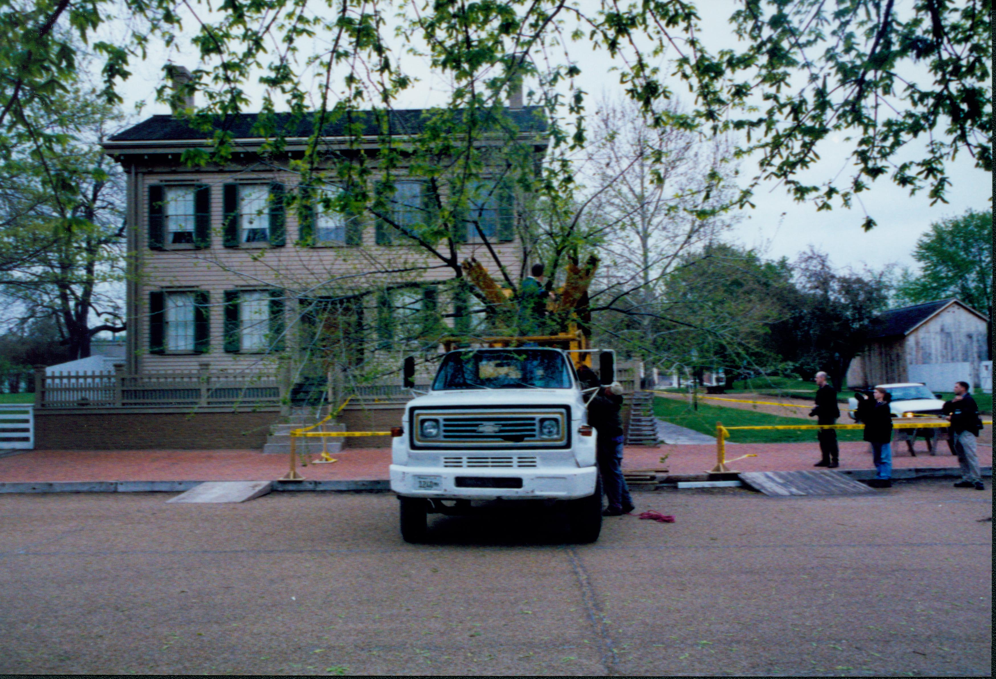 Elm tree replacement - Pleasant Nursery staff tying down tree for transport from front of Lincoln Home brick plaza. Reporters watch on far right in front of unpainted Arnold Barn. Looking East from west side of 8th Street Elm tree, 8th Street, Lincoln Home, brick plaza, Pleasant Nursery, reporters