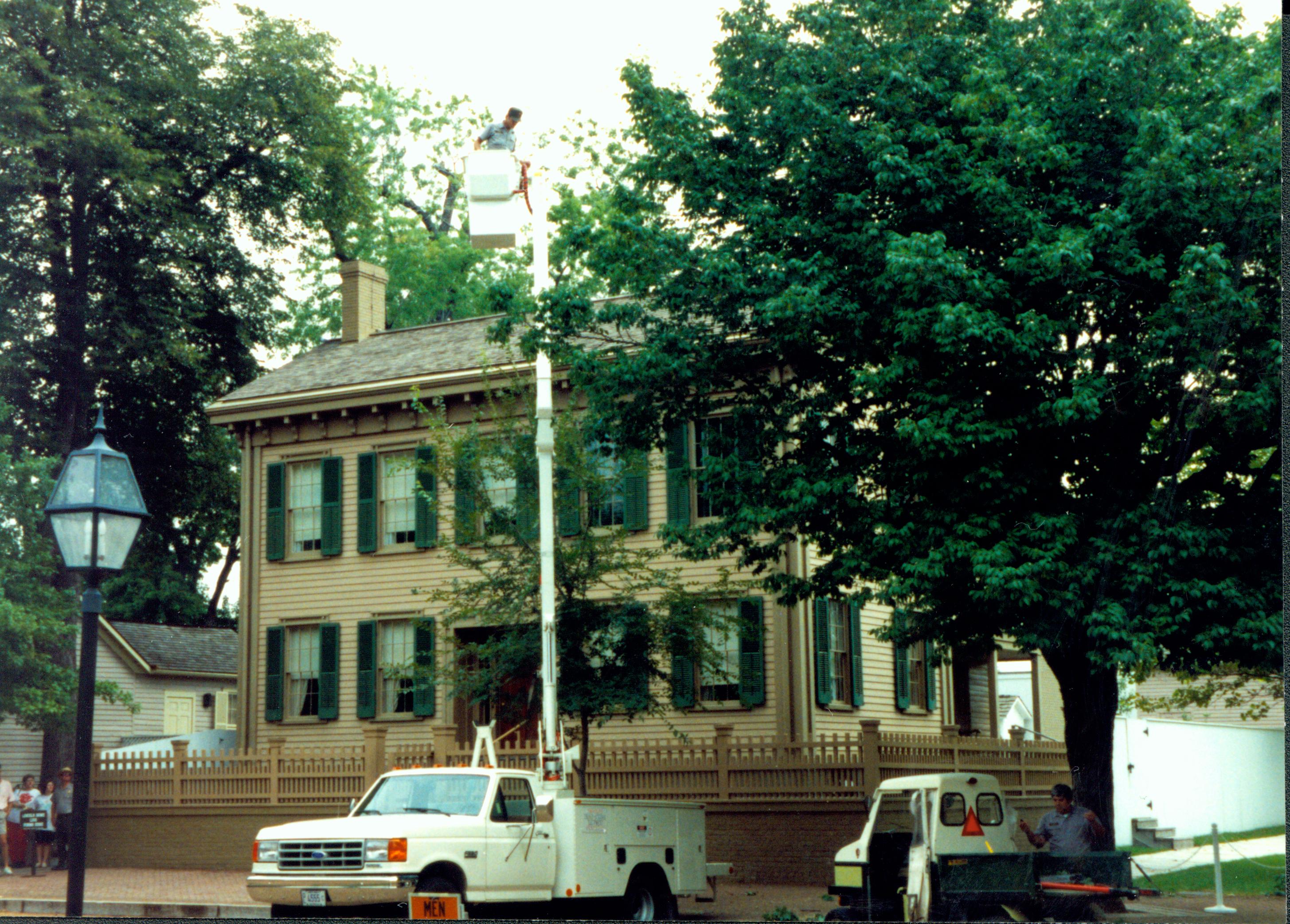 NA 439943 Maintenance, Tree trimming