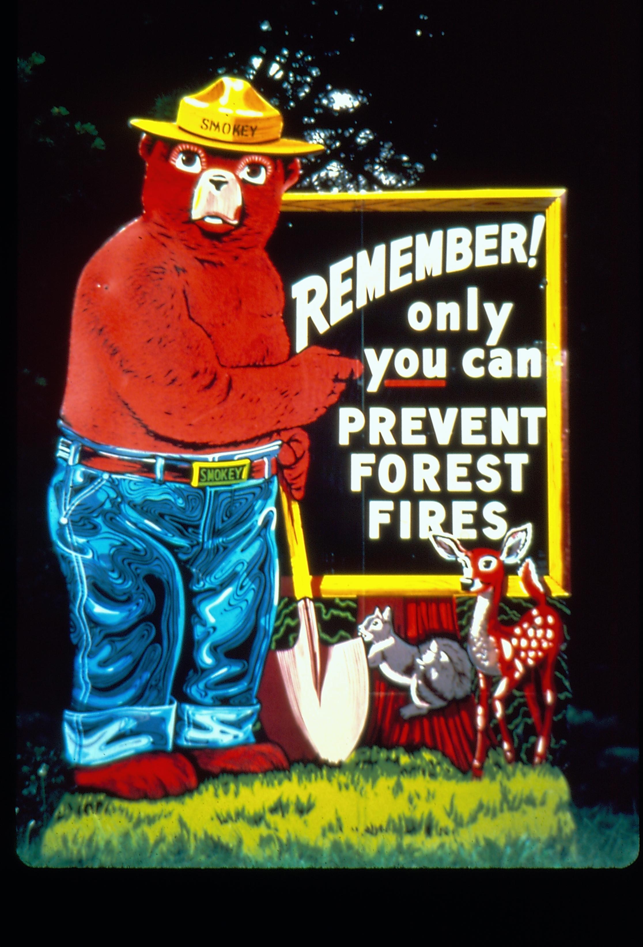 Smokey Bear Poster Maintenance, Signs