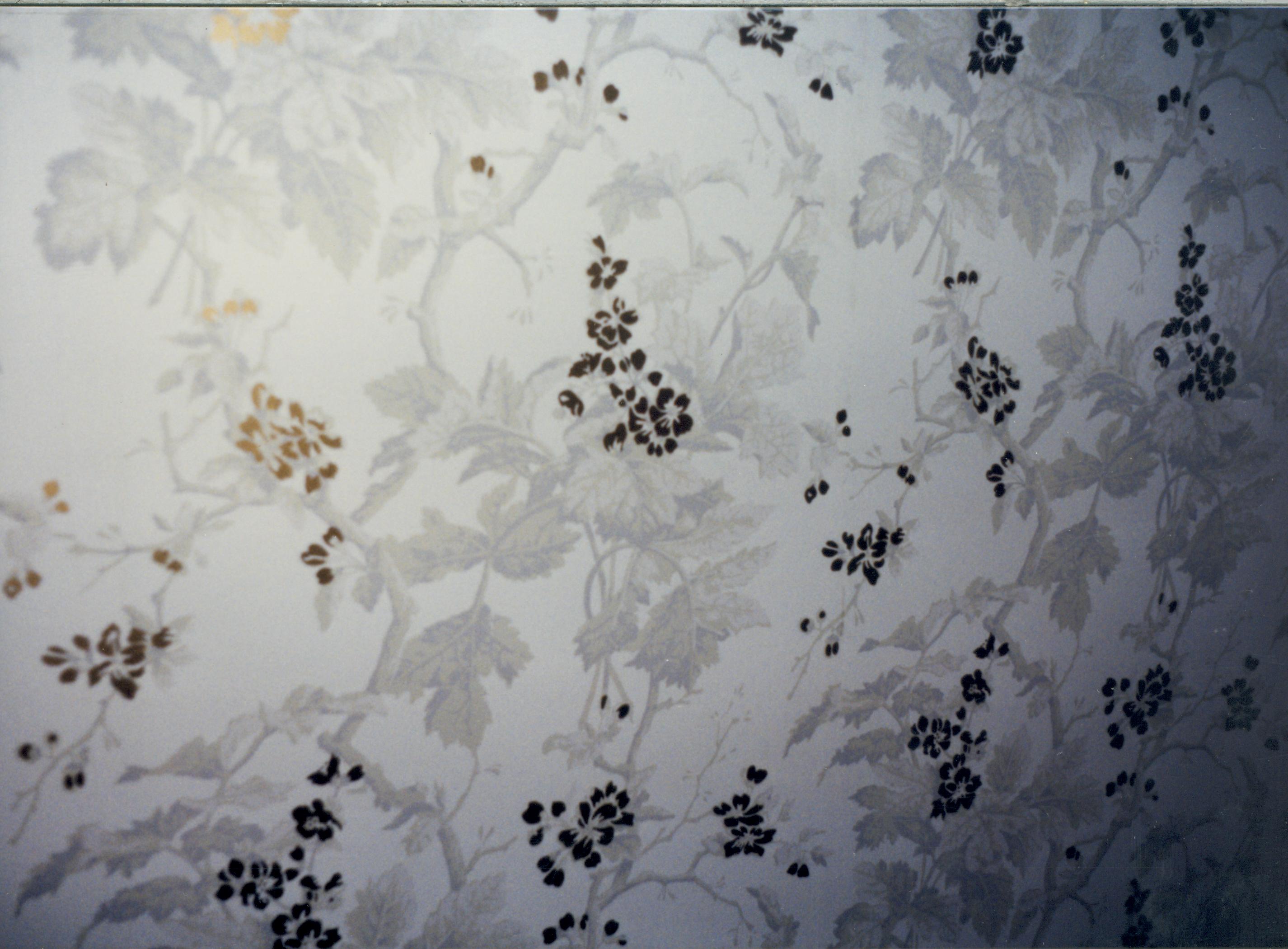 wallpaper Wallpaper, HSI Room 101, 15 conservation, wallpaper