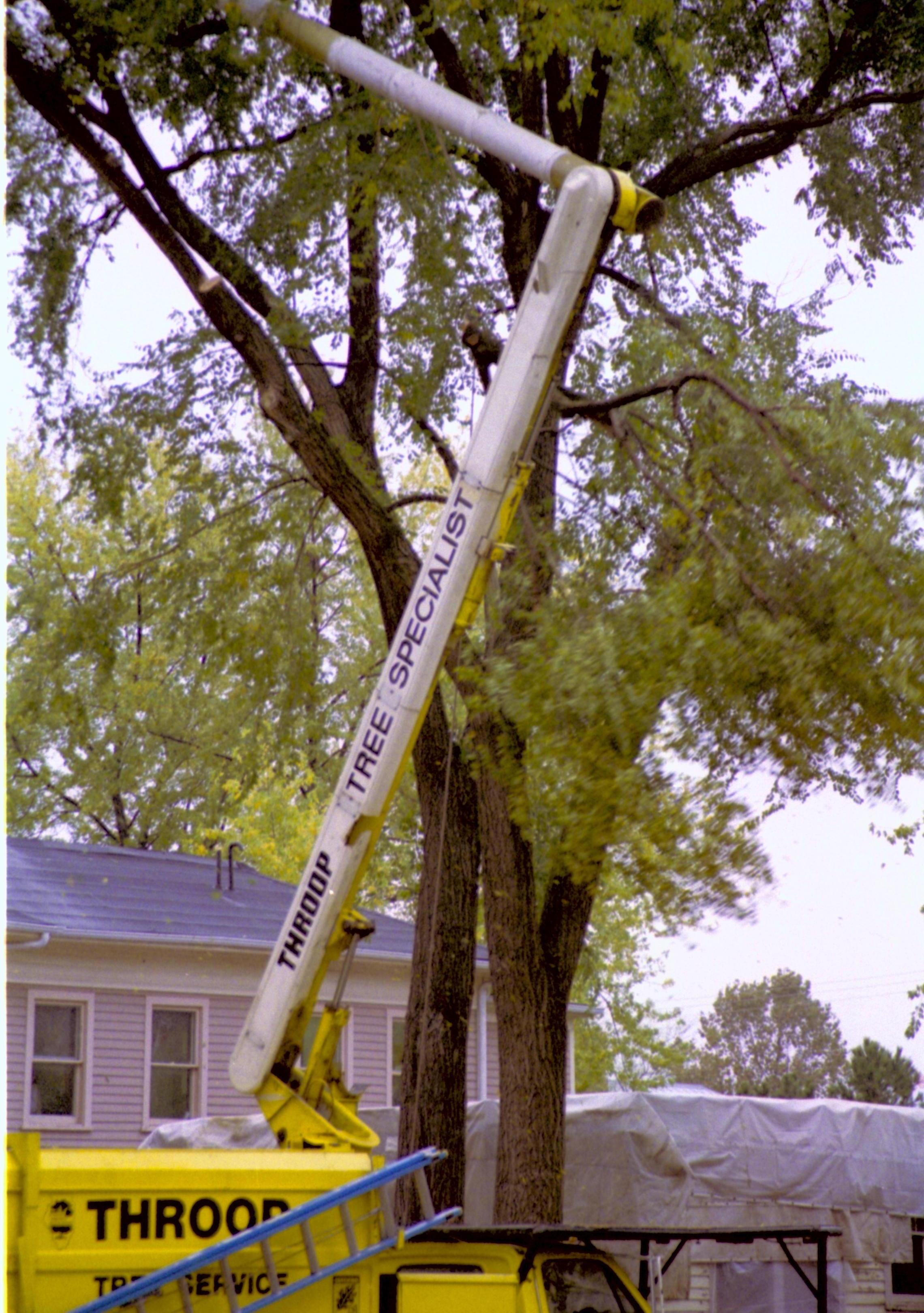 Southwest face of 8th St; Cutting down trees at Southwest corner of 8th/Jackson intersection in prep of moving Corneau House to front of lot. Photo taken from intersection. Northeast corner of Miller in background Lincoln Home NHS, Roll N5, exp 3, sheet 1 of 2 LIHO, Miller, Corneau