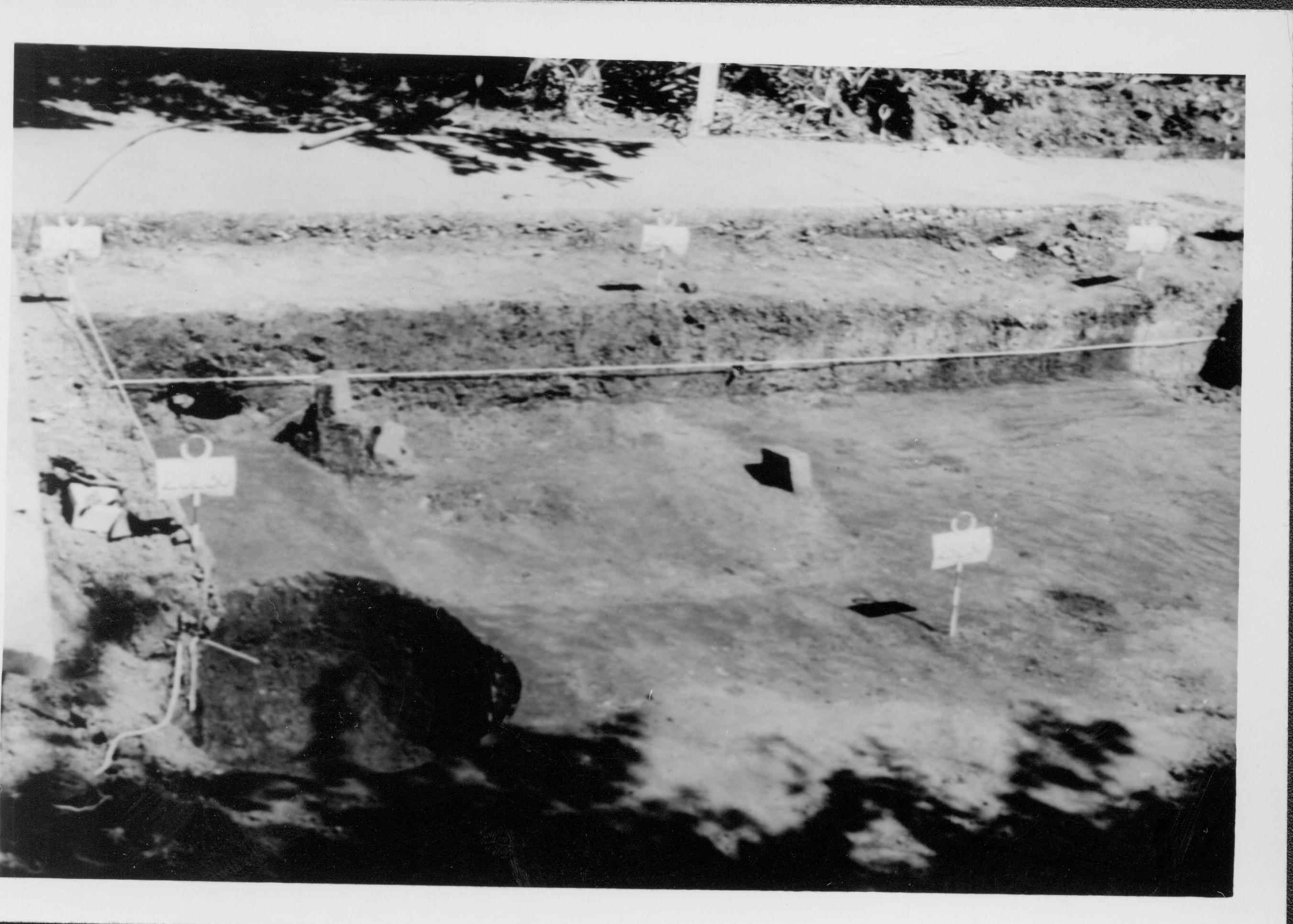 Richard Hagen 1950 - excavation of Lincoln backyard  Lincoln, Home, excavation, archaeology, Hagen
