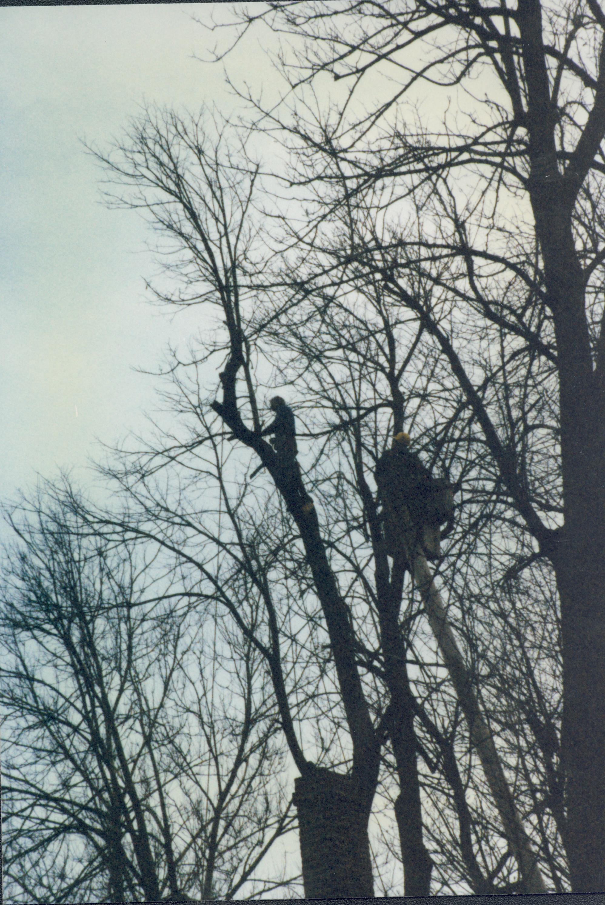 Dean House Lincoln Home NHS- Dean House tree trimming Dean House, tree trimming