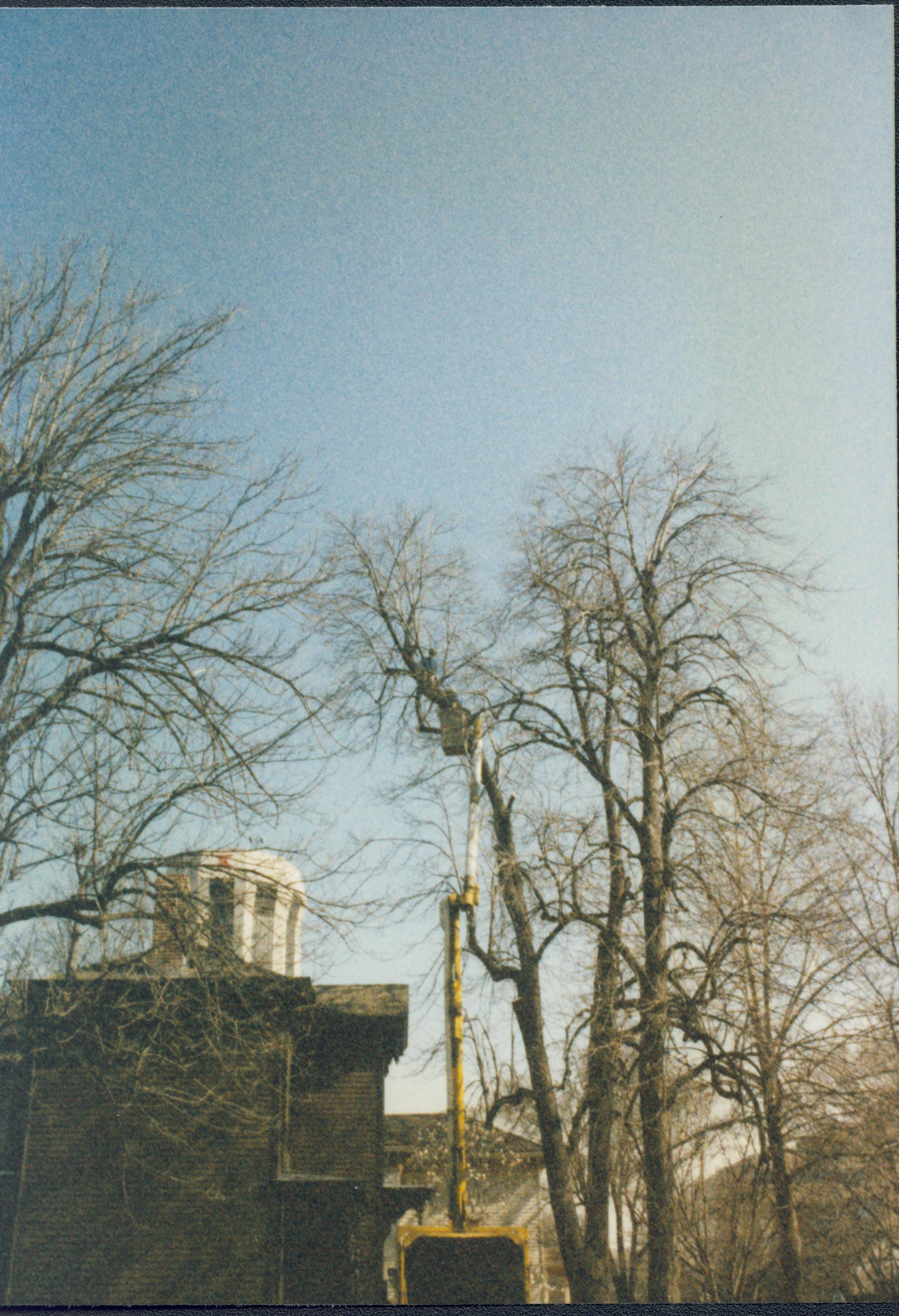 Dean House Lincoln Home NHS- Dean House tree trimming Dean House, tree trimming