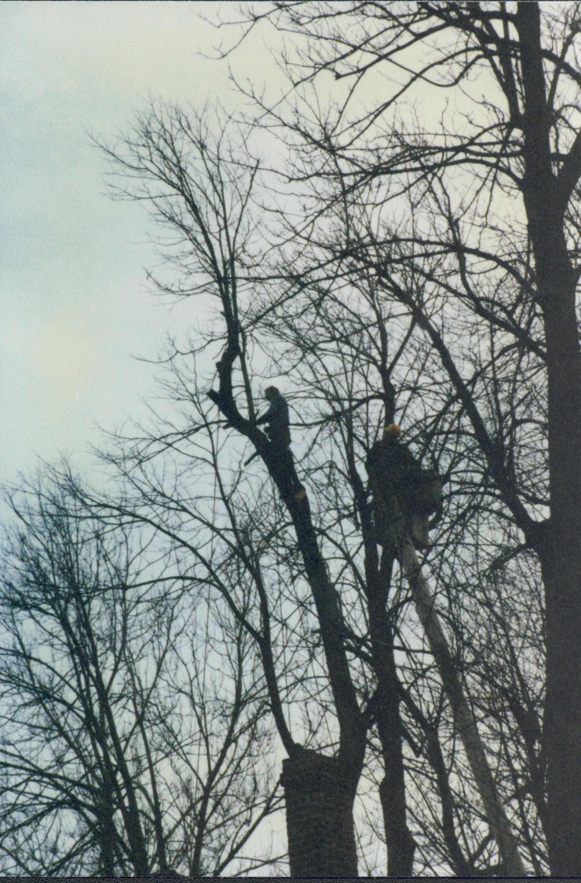 Dean House Lincoln Home NHS- Dean House tree trimming Dean House, tree trimming